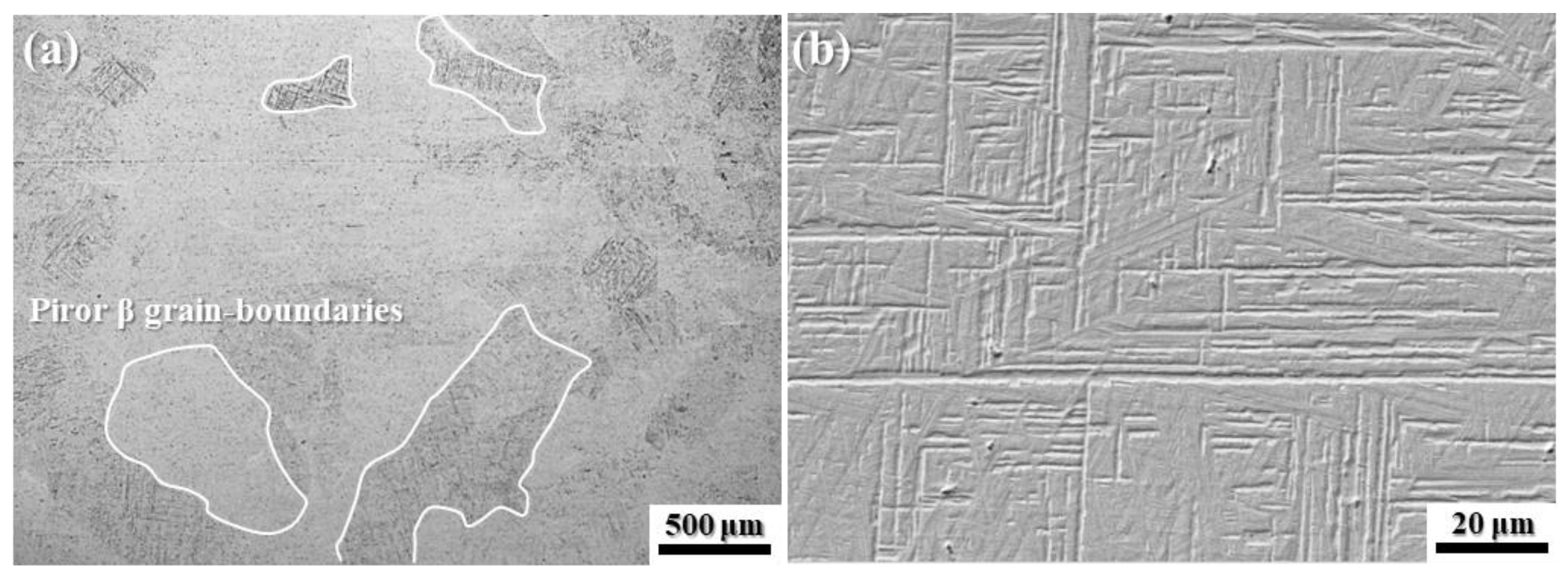 Coatings 14 00395 g008