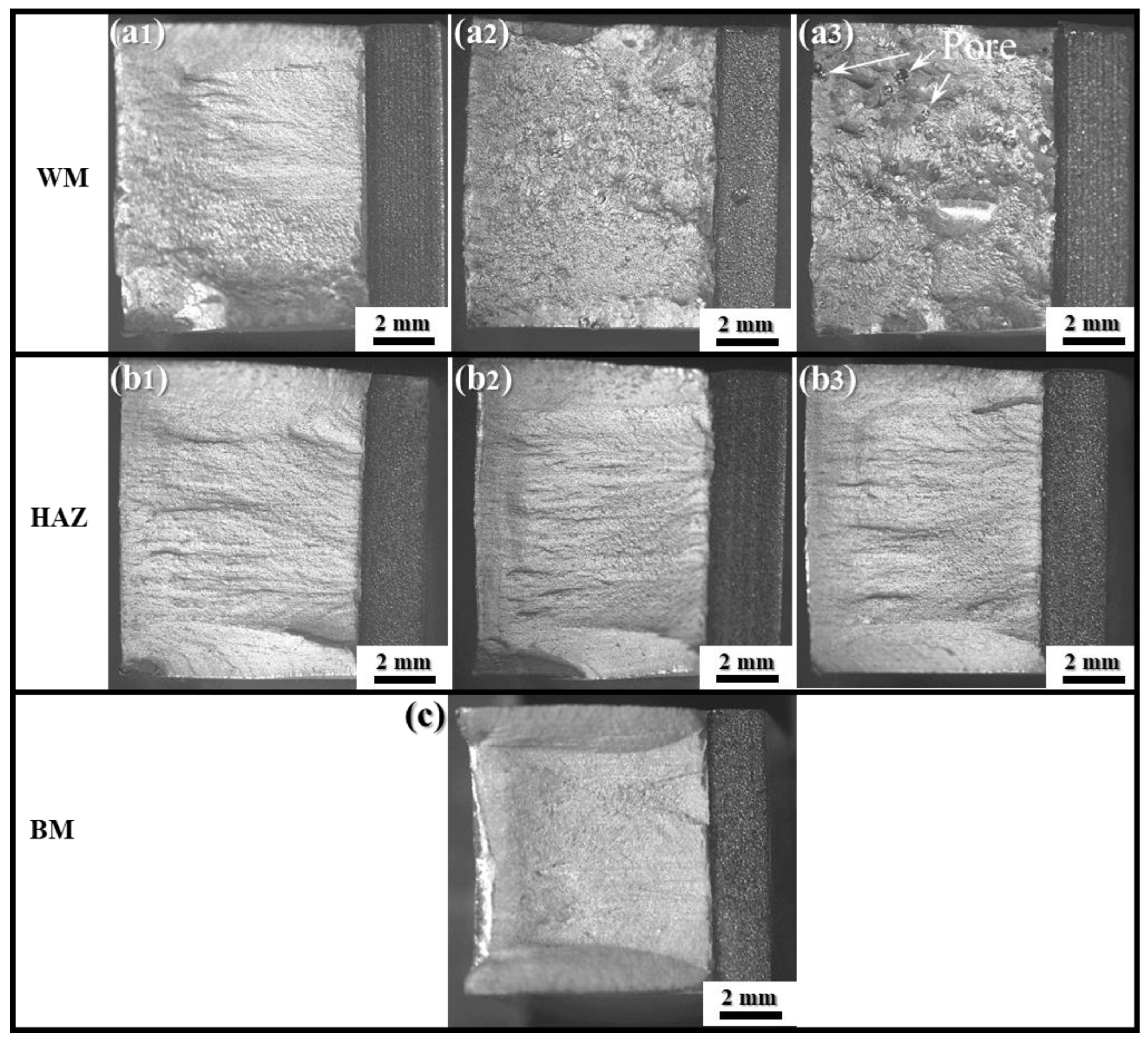 Coatings 14 00395 g012