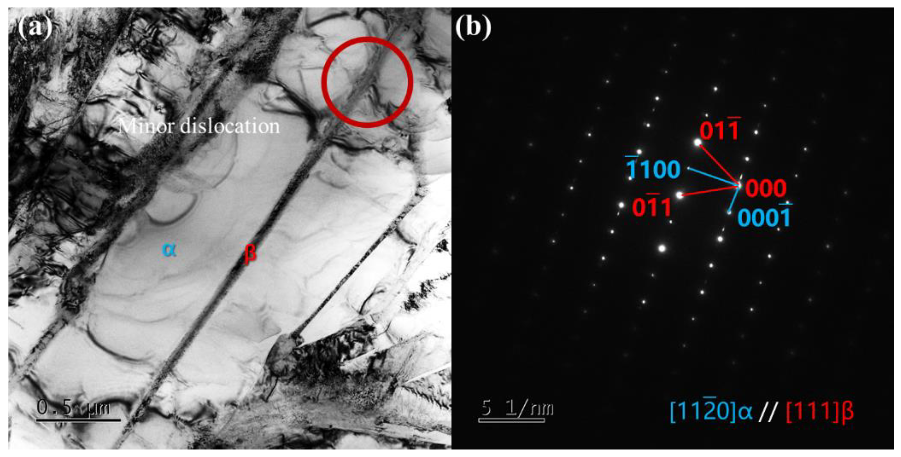 Coatings 14 00395 g014