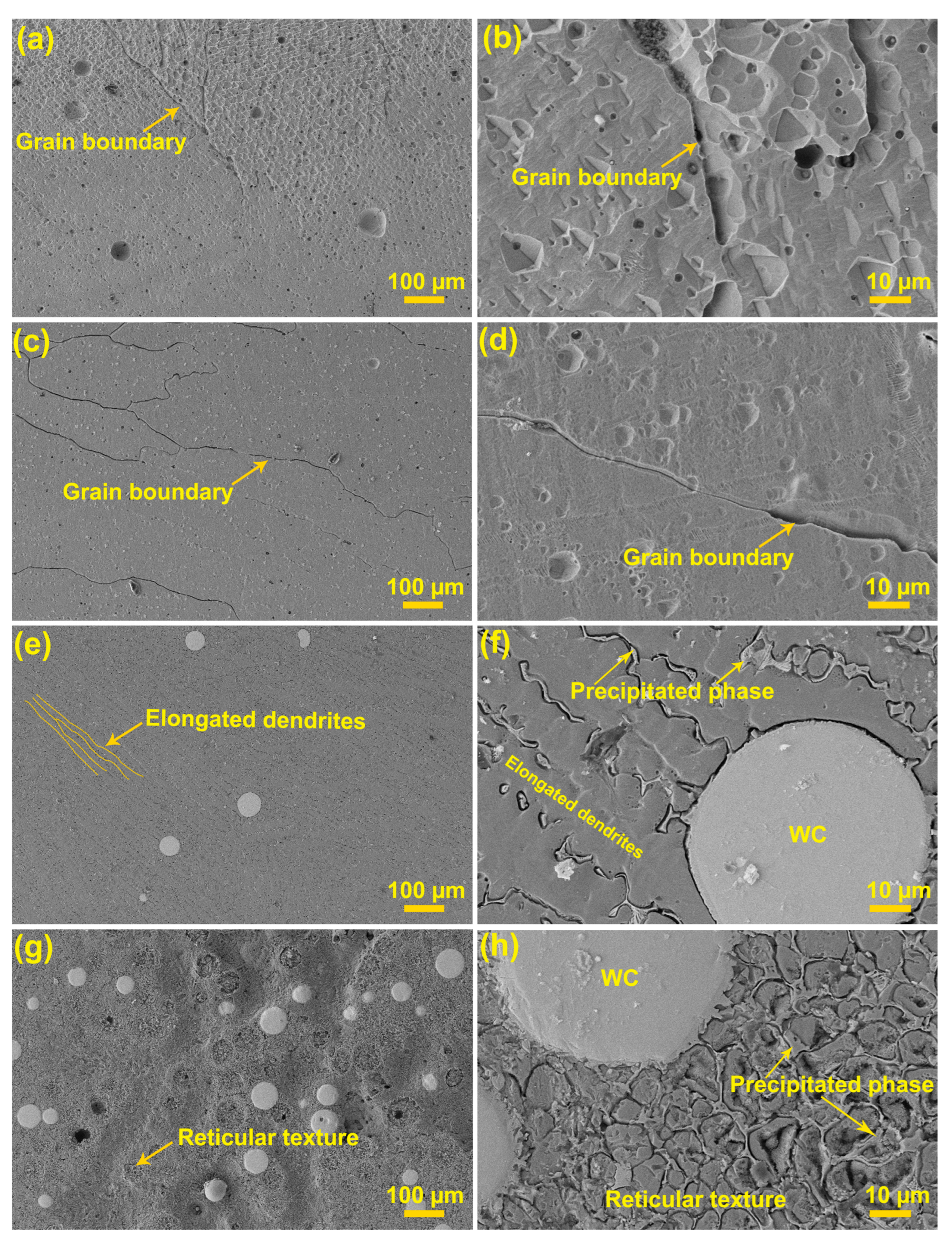 Coatings 14 00403 g006