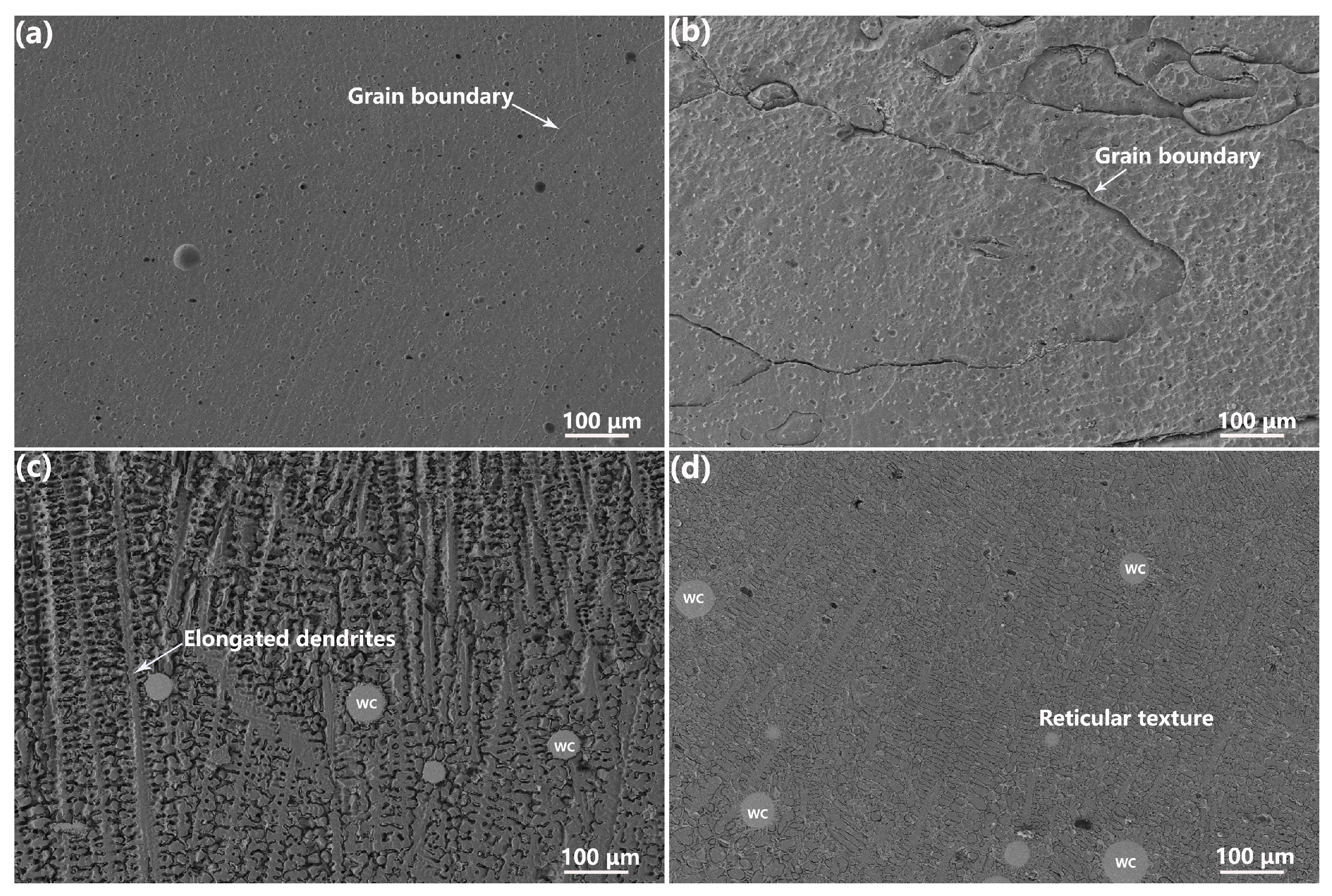 Coatings 14 00403 g008