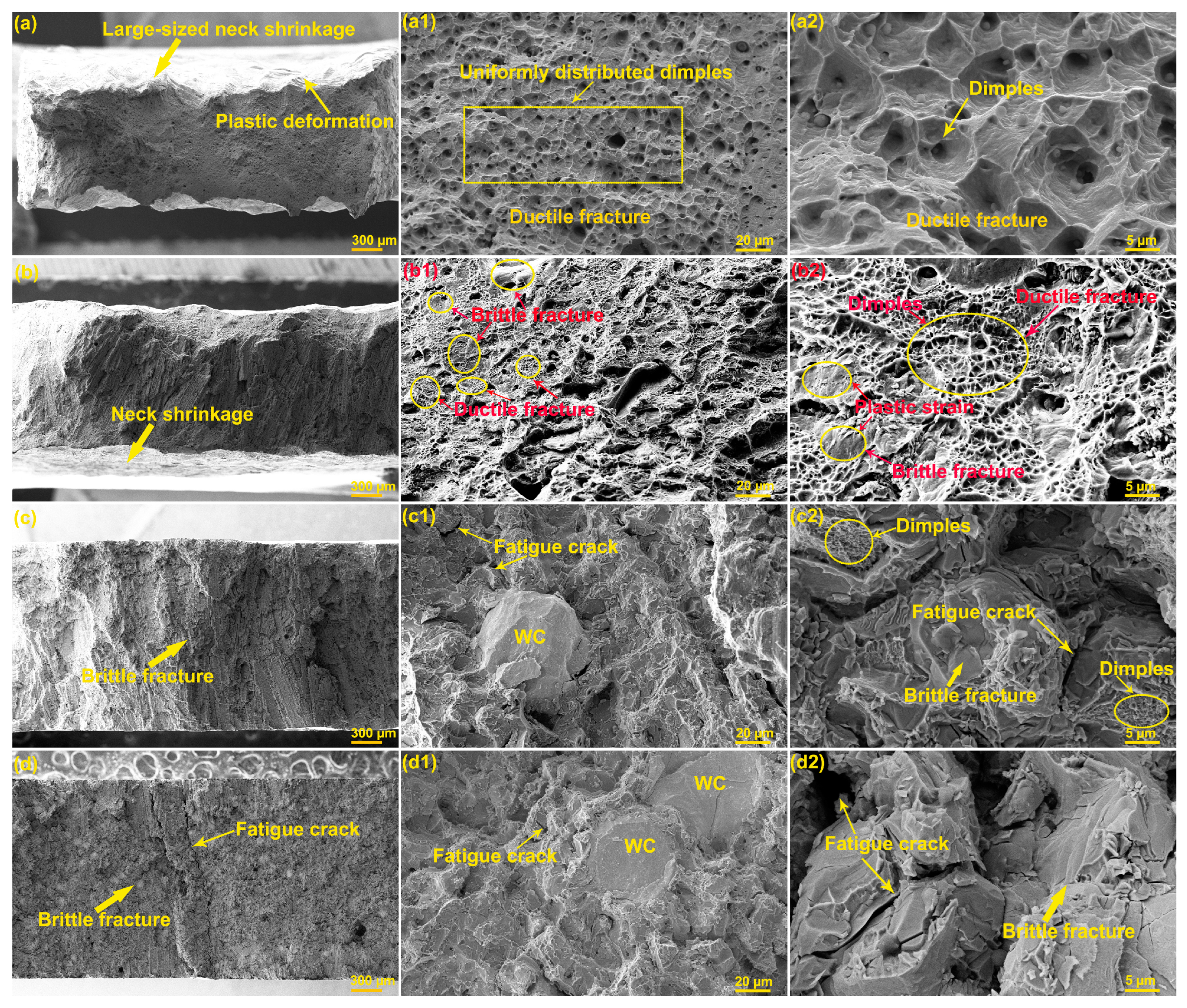 Coatings 14 00403 g012