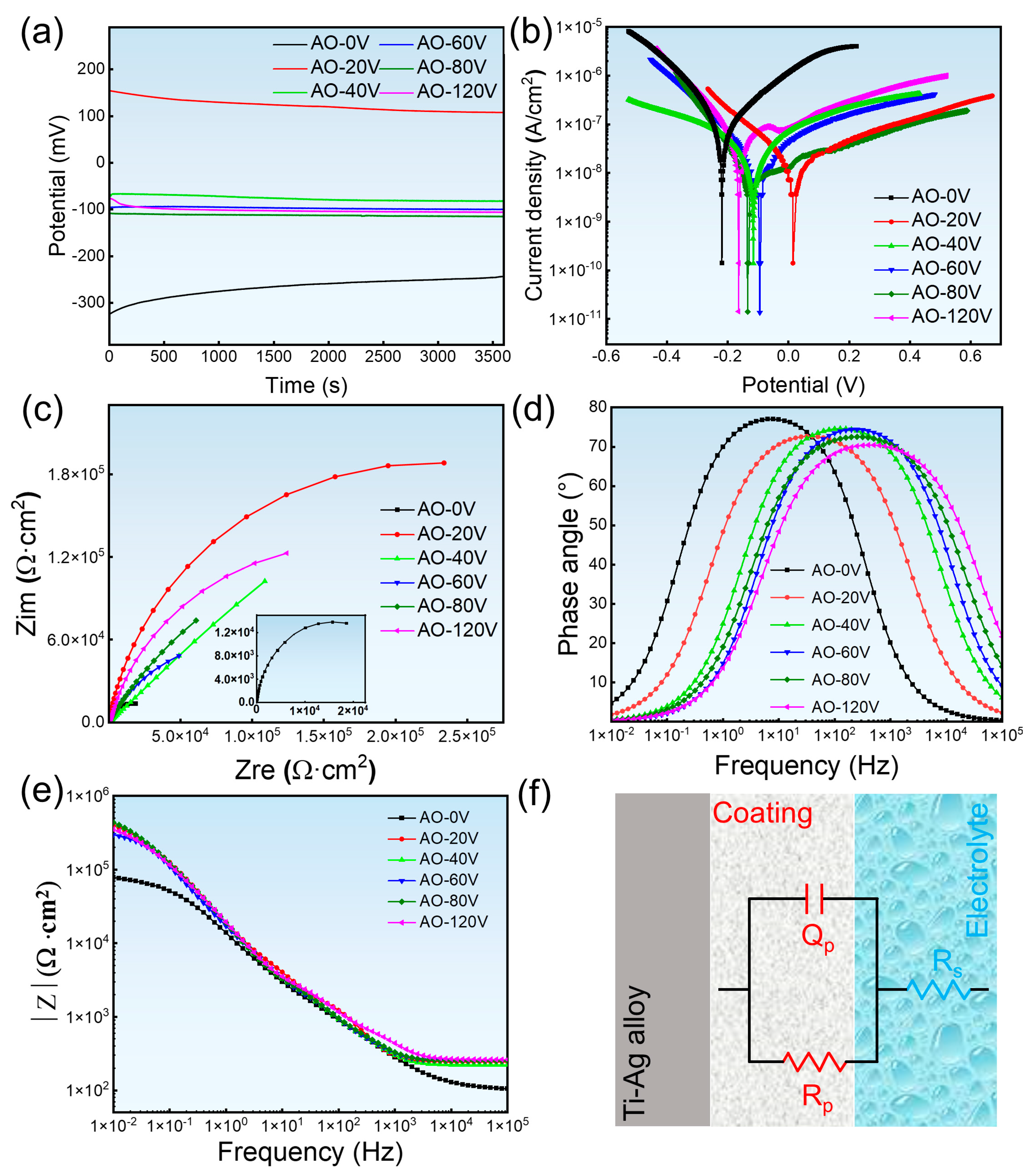 Coatings 14 00405 g006
