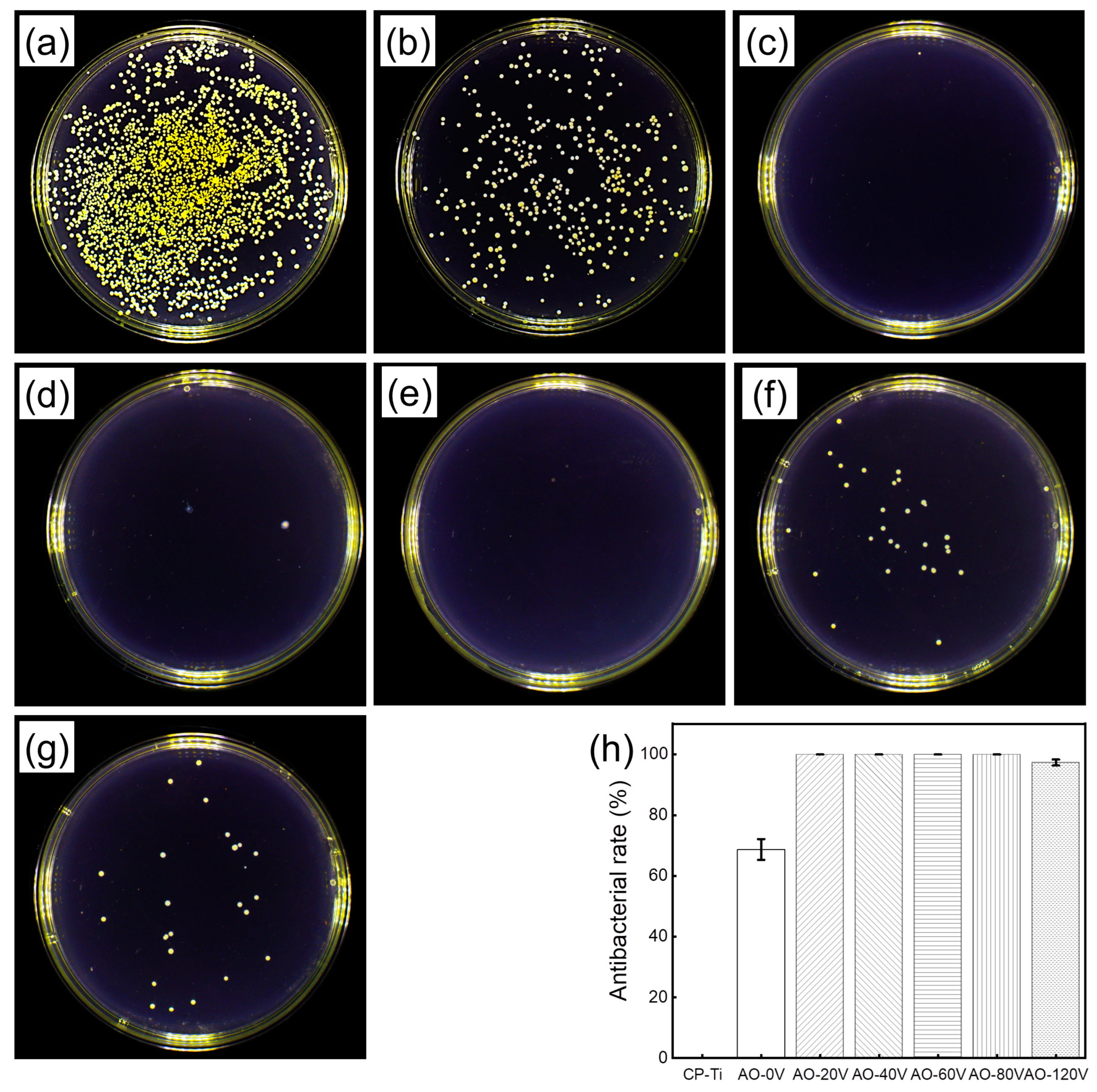 Coatings 14 00405 g009