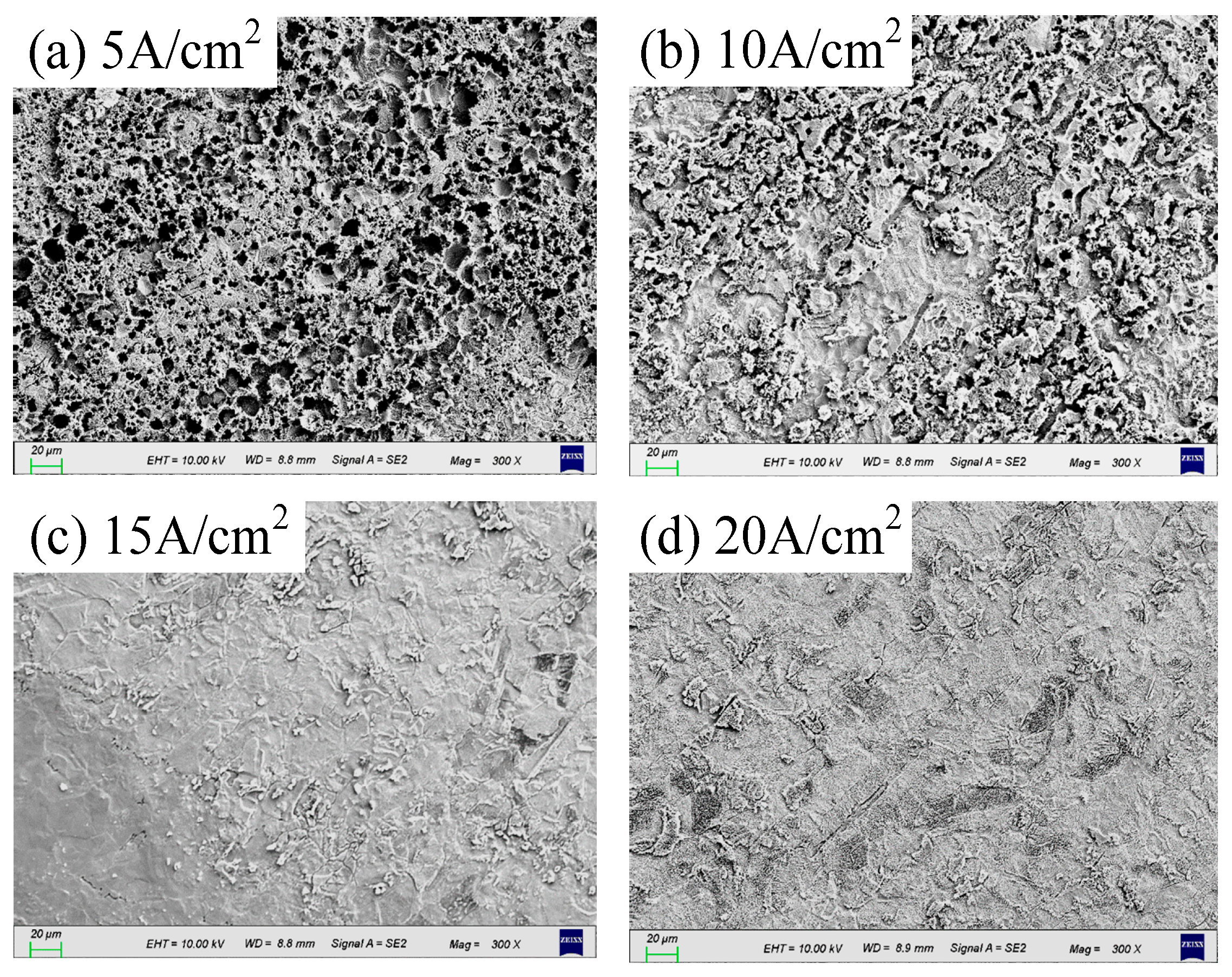 Coatings 14 00406 g008
