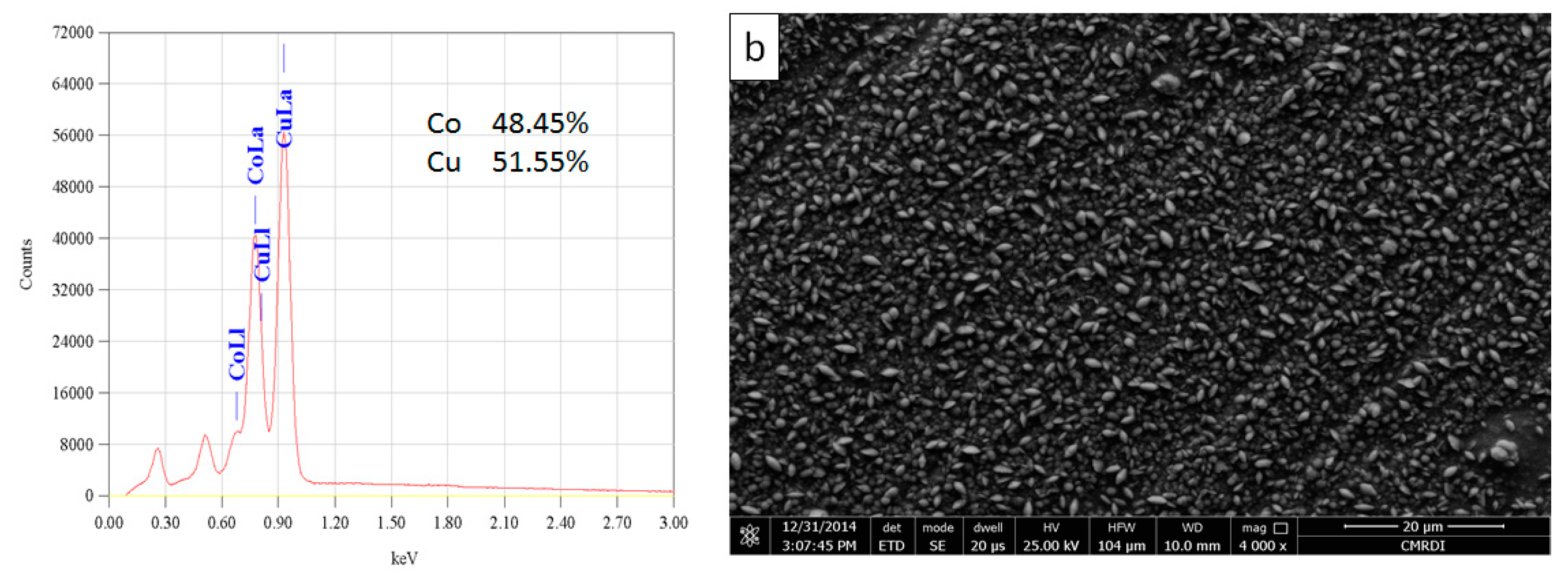 Coatings 14 00407 g010b Coatings 14 00407 g010b
