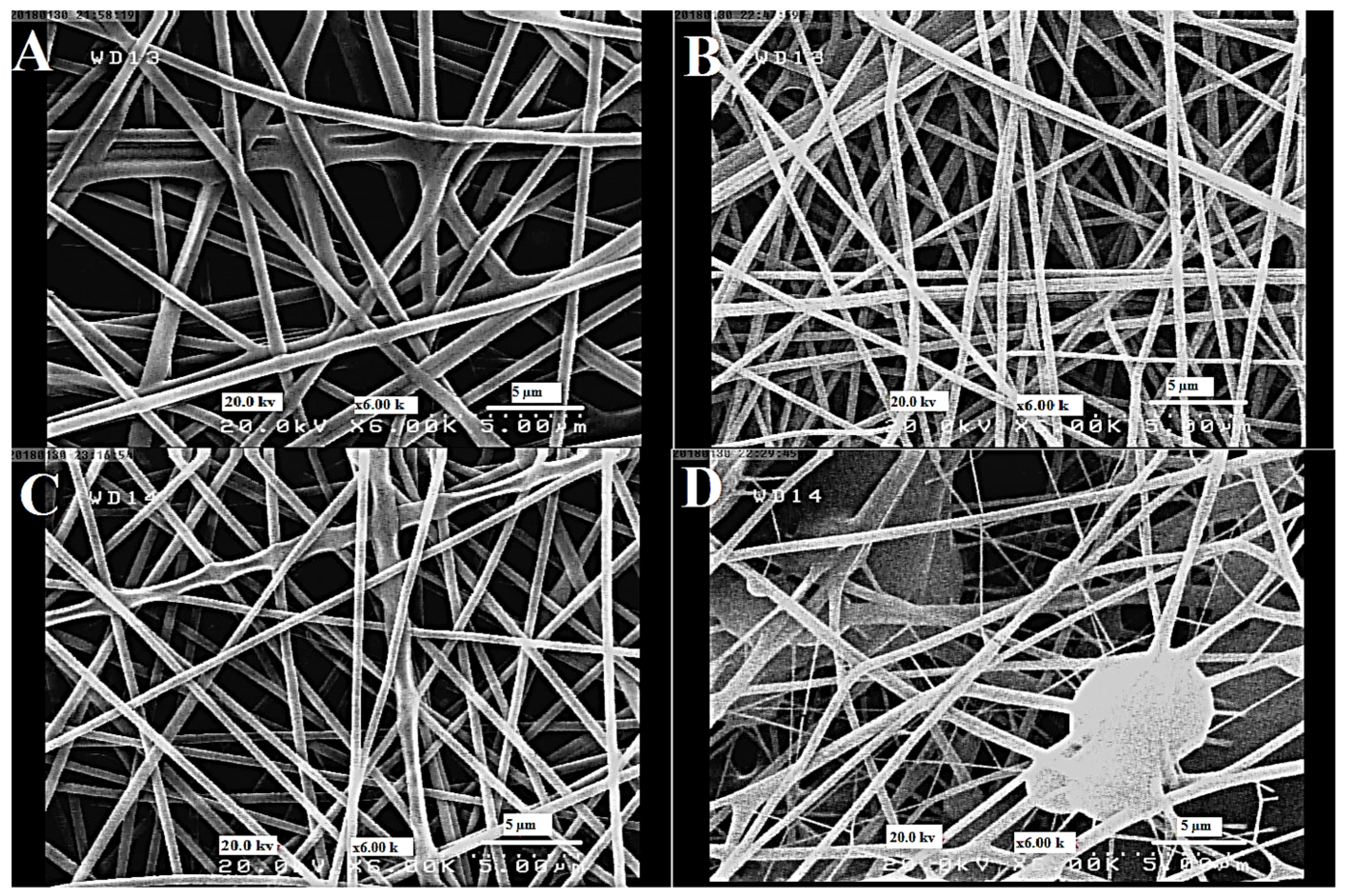 Coatings 14 00411 g008