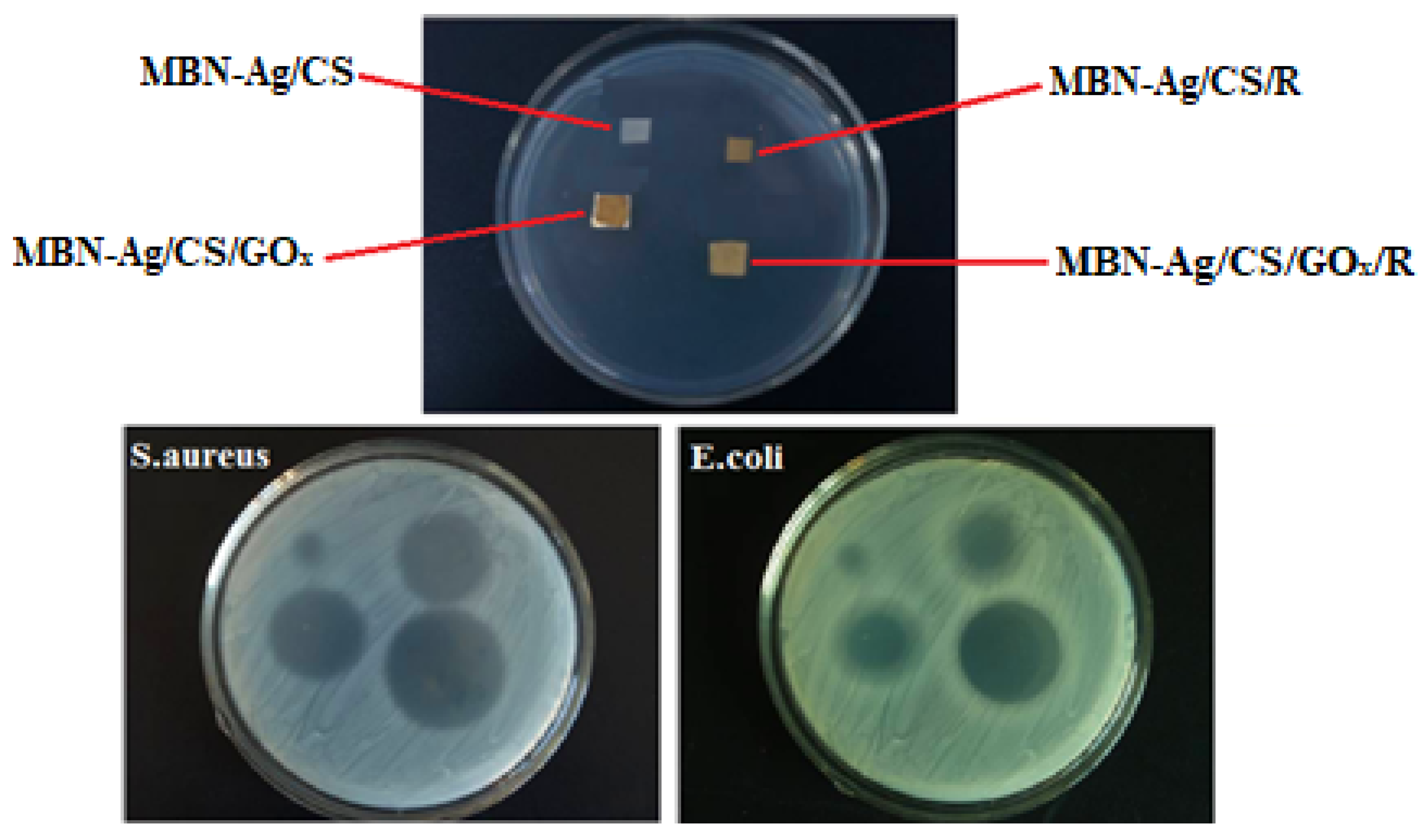Coatings 14 00411 g013