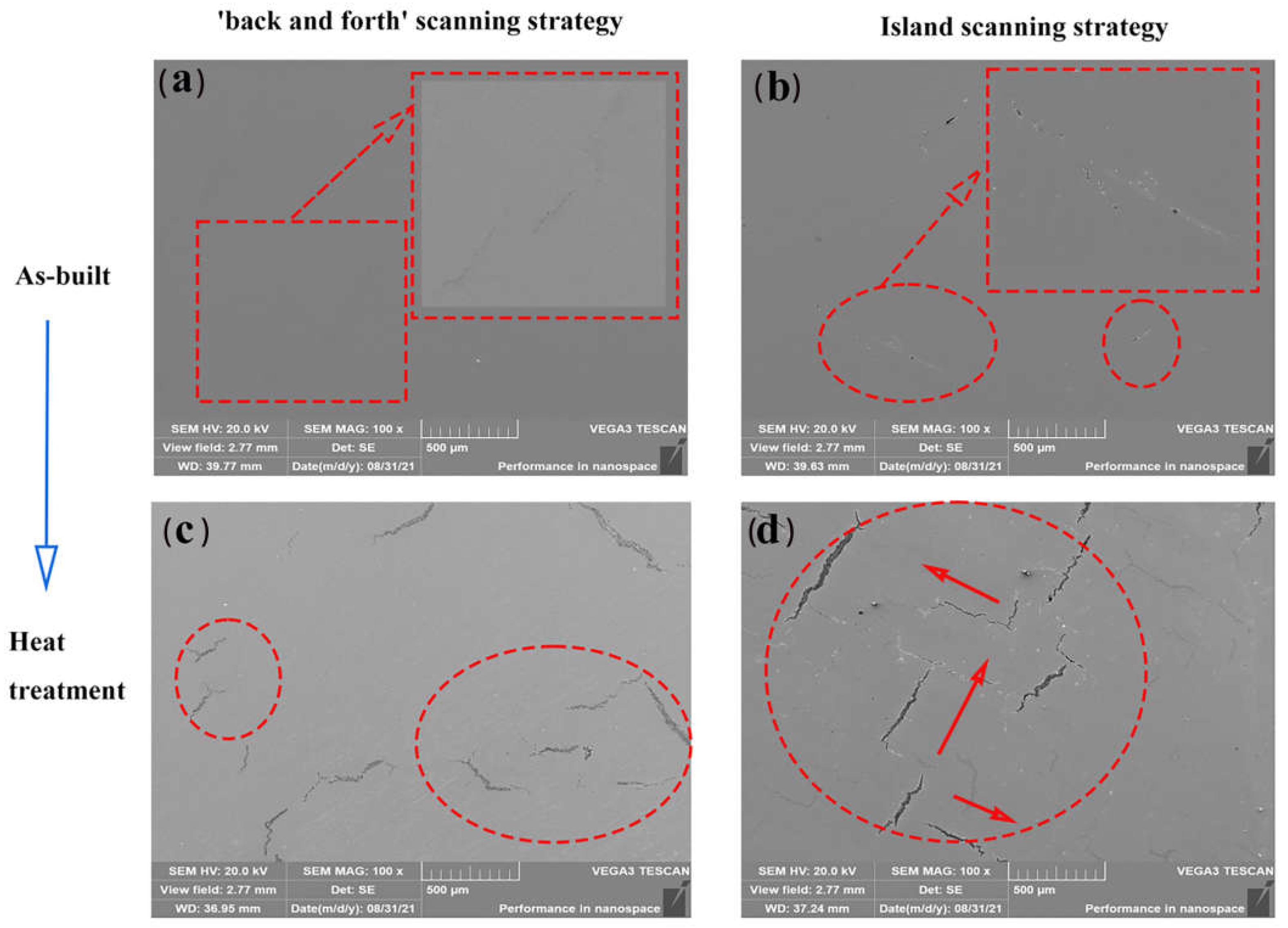 Coatings 14 00414 g006