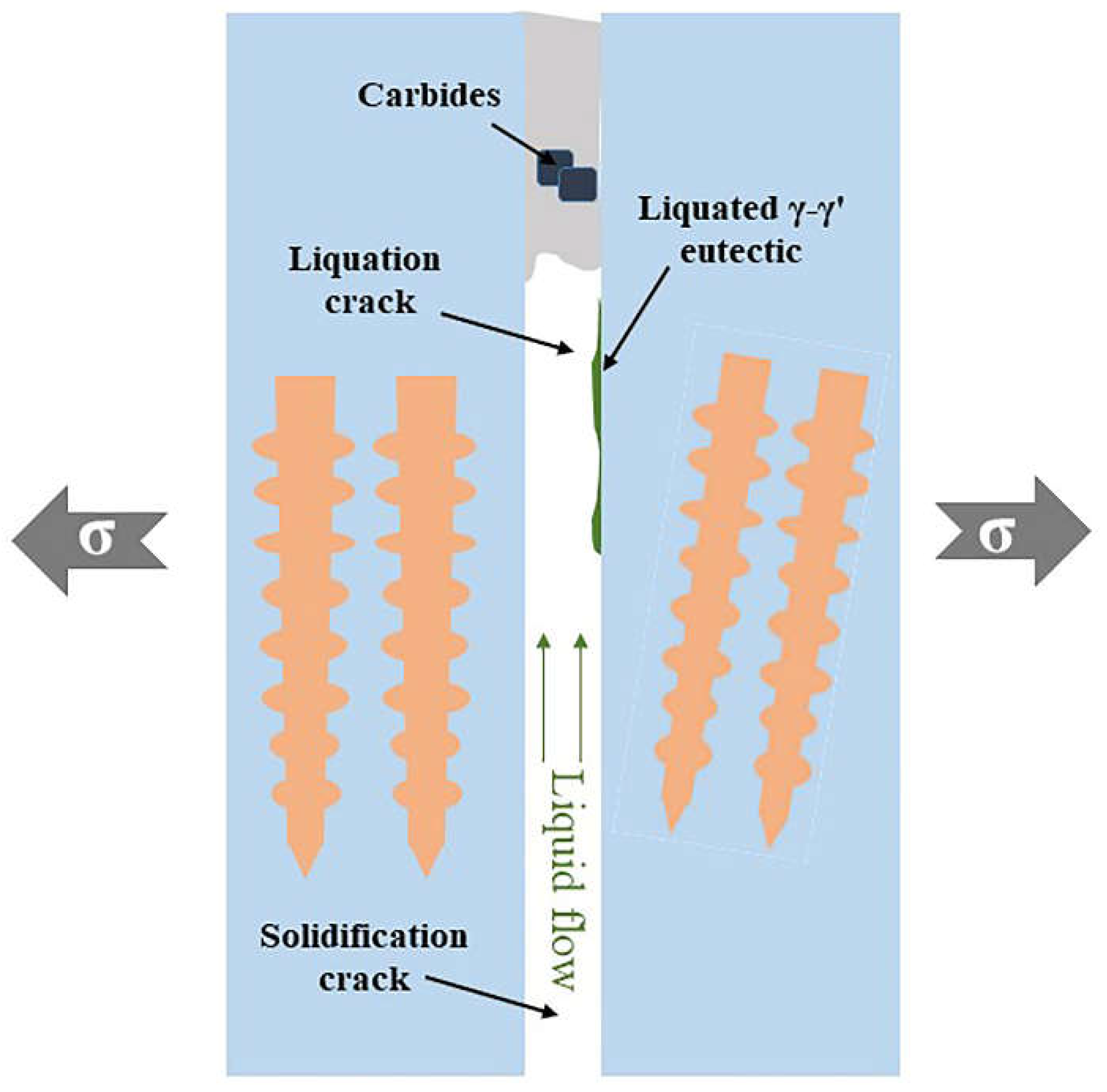 Coatings 14 00414 g007