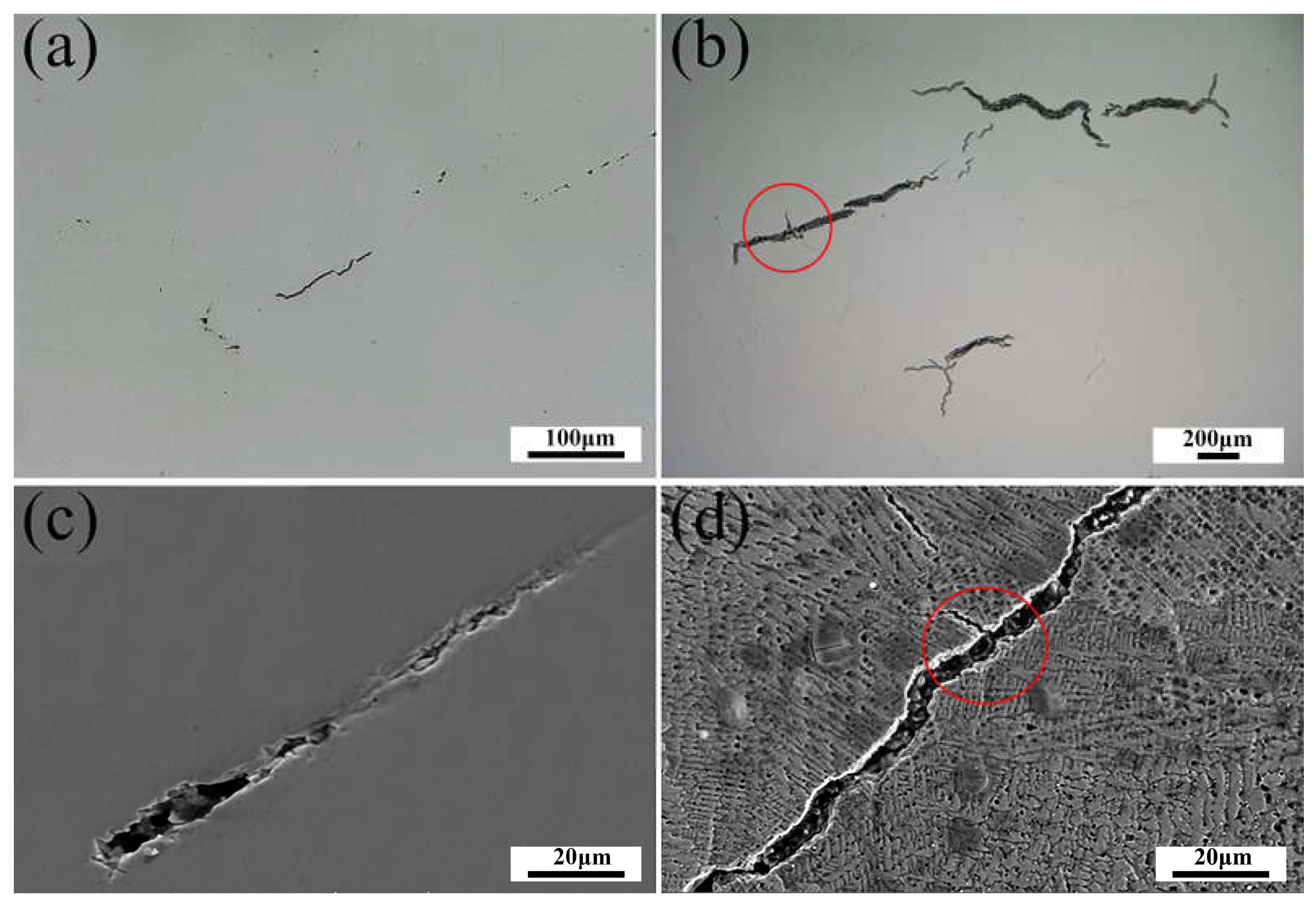 Coatings 14 00414 g008
