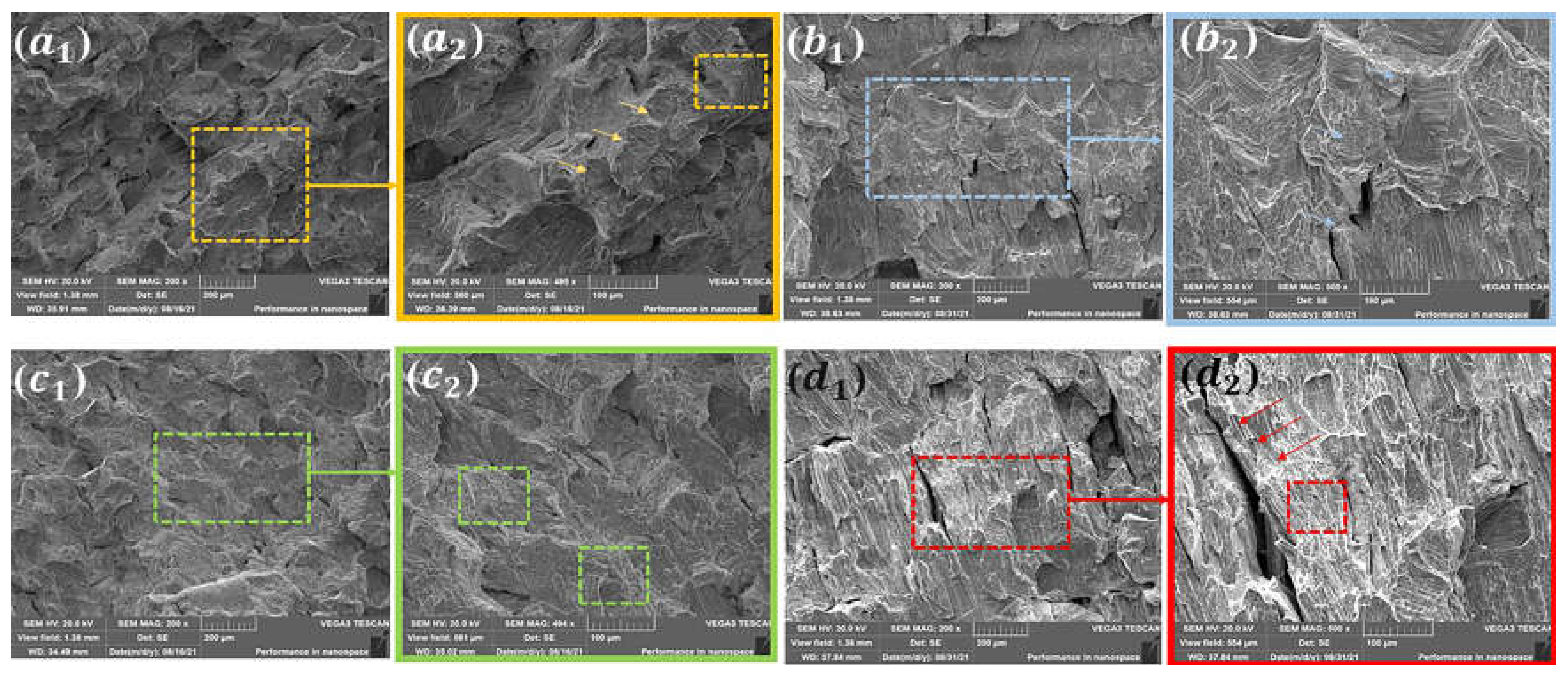 Coatings 14 00414 g015
