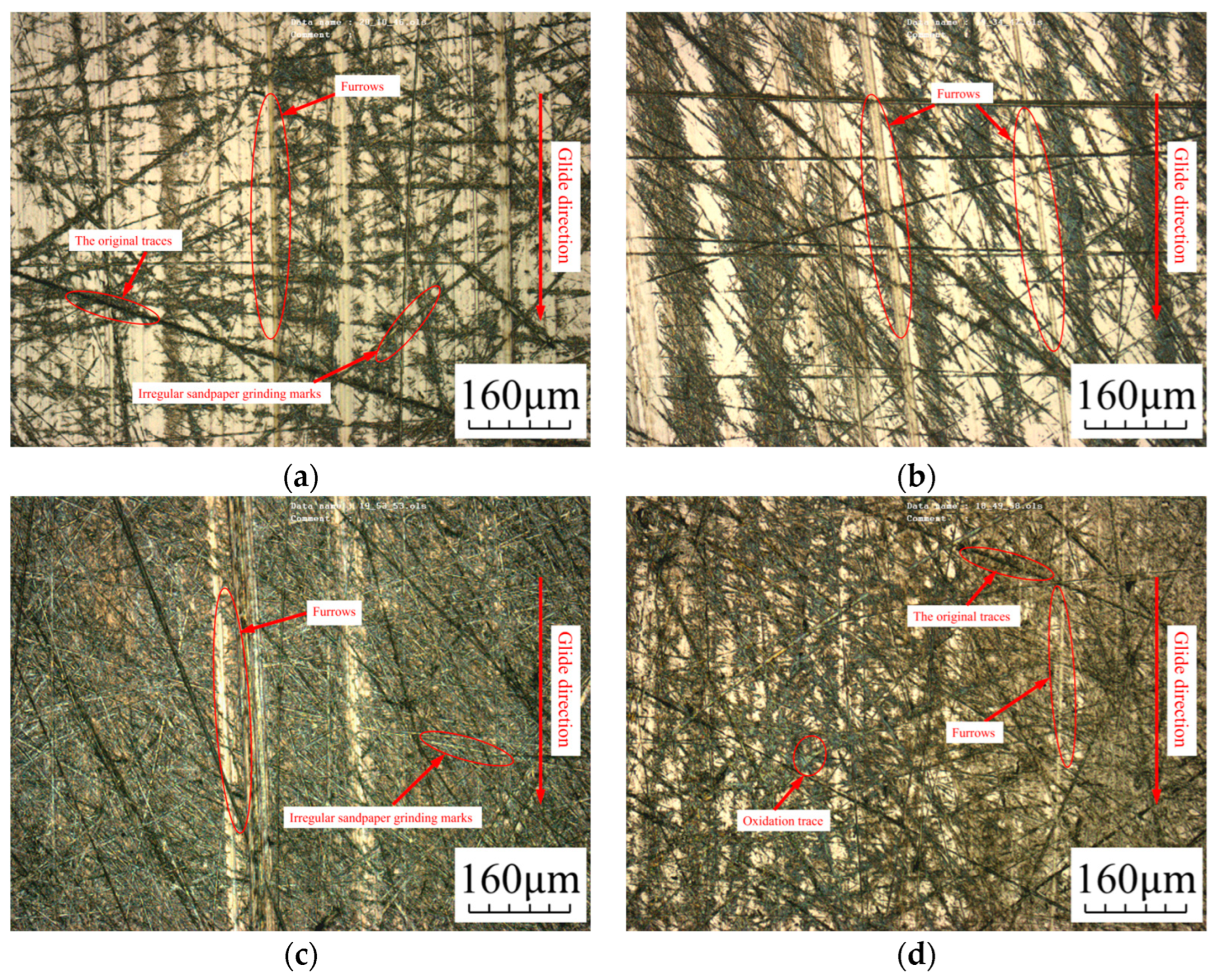 Coatings 14 00415 g010