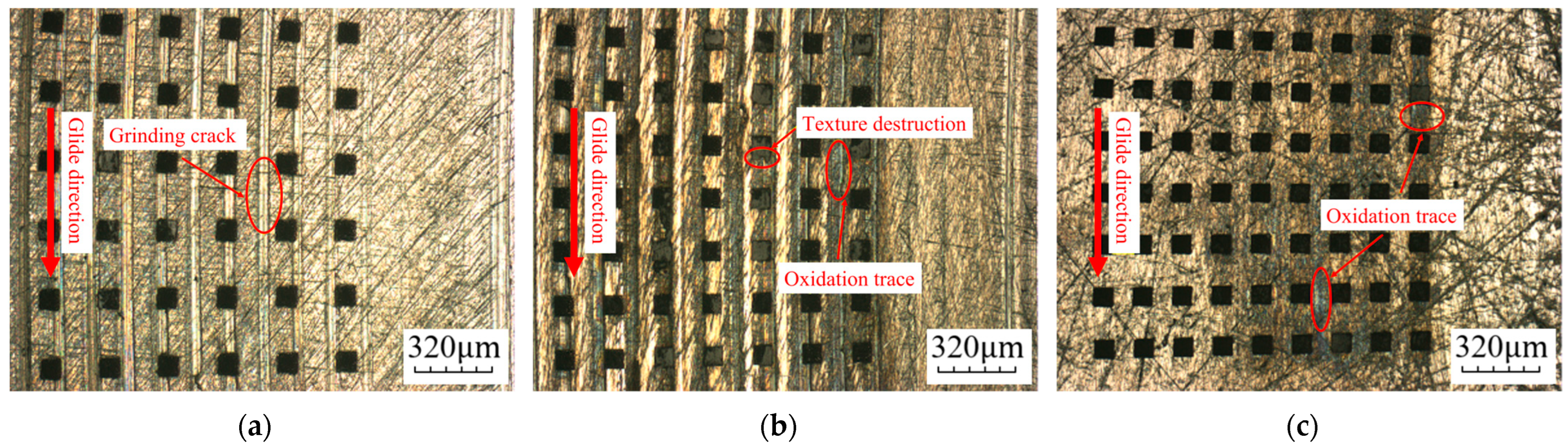 Coatings 14 00415 g018