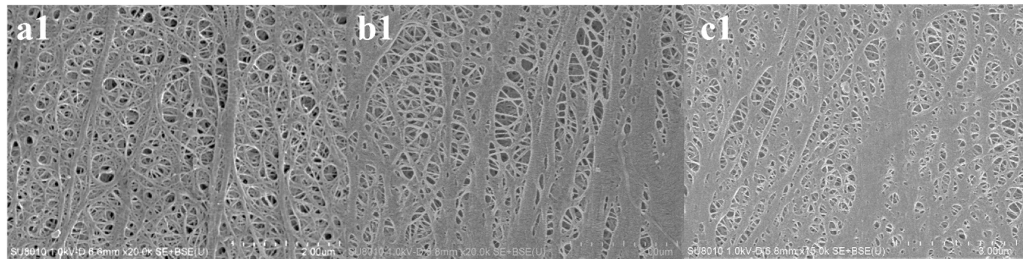 Coatings 14 00419 g009