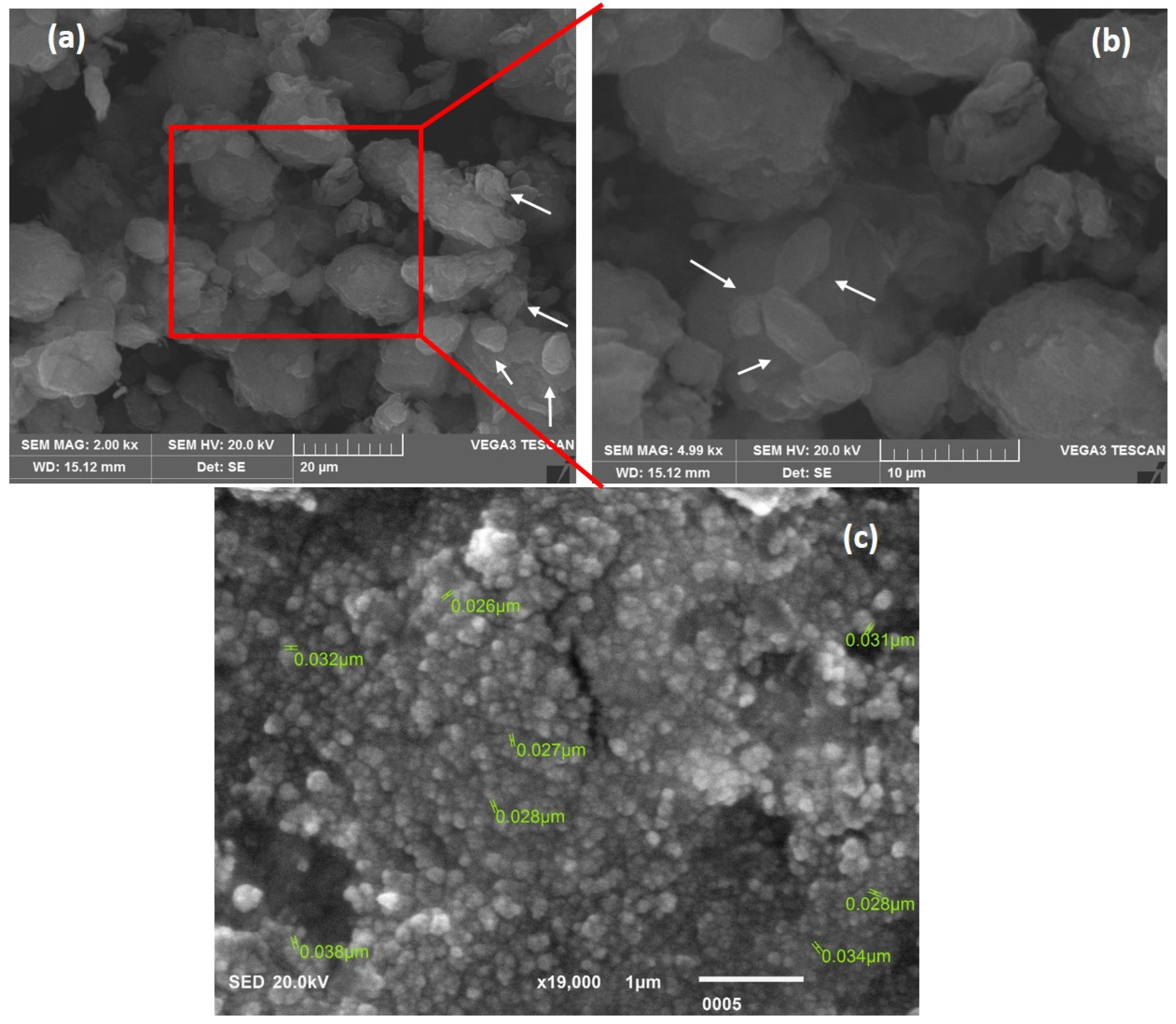 Coatings 14 00429 g002