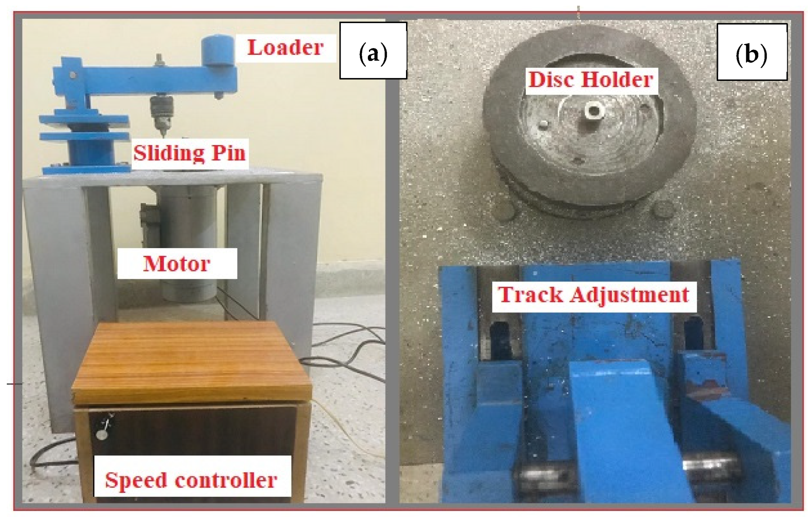 Coatings 14 00429 g004