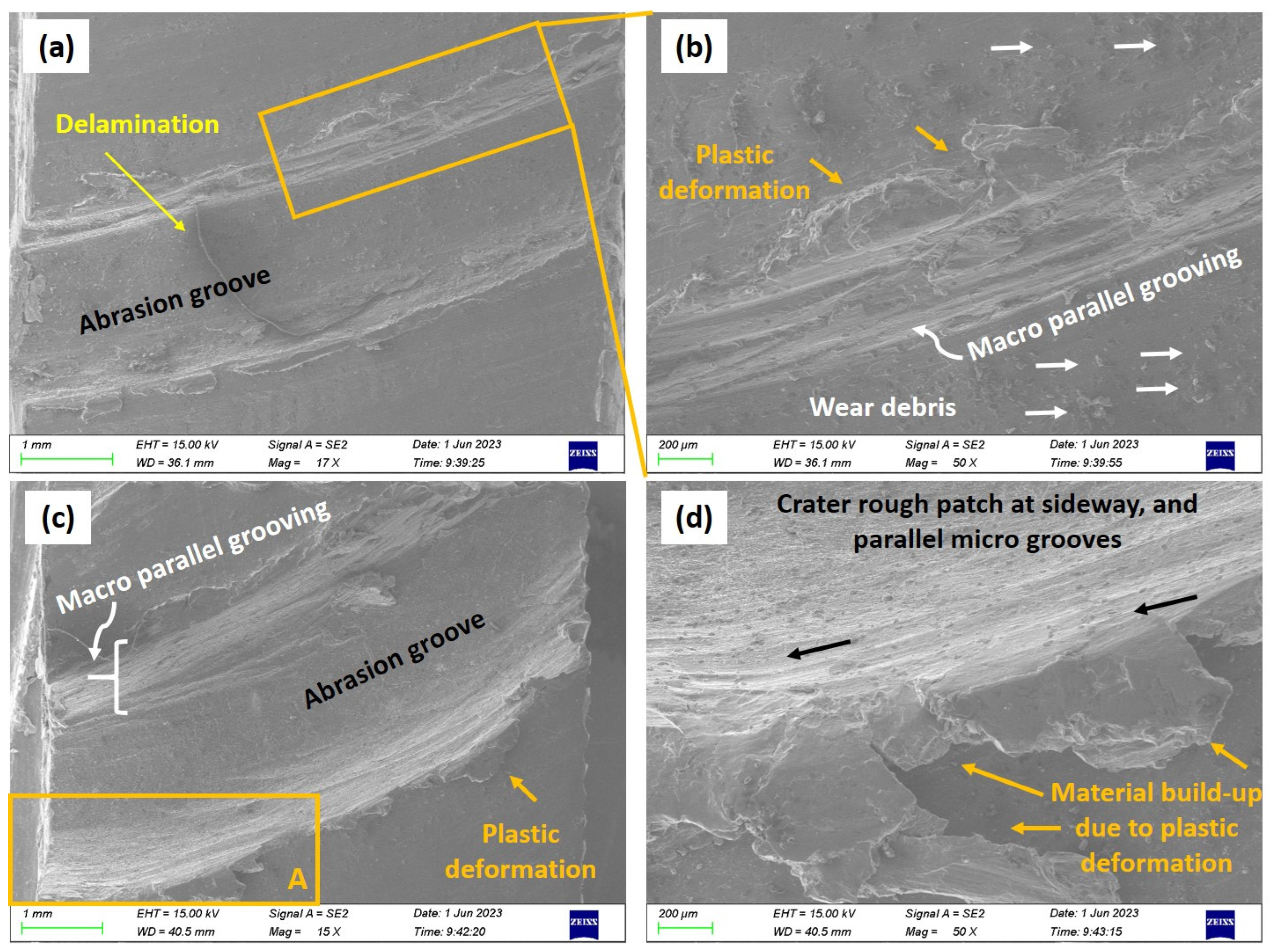 Coatings 14 00429 g012
