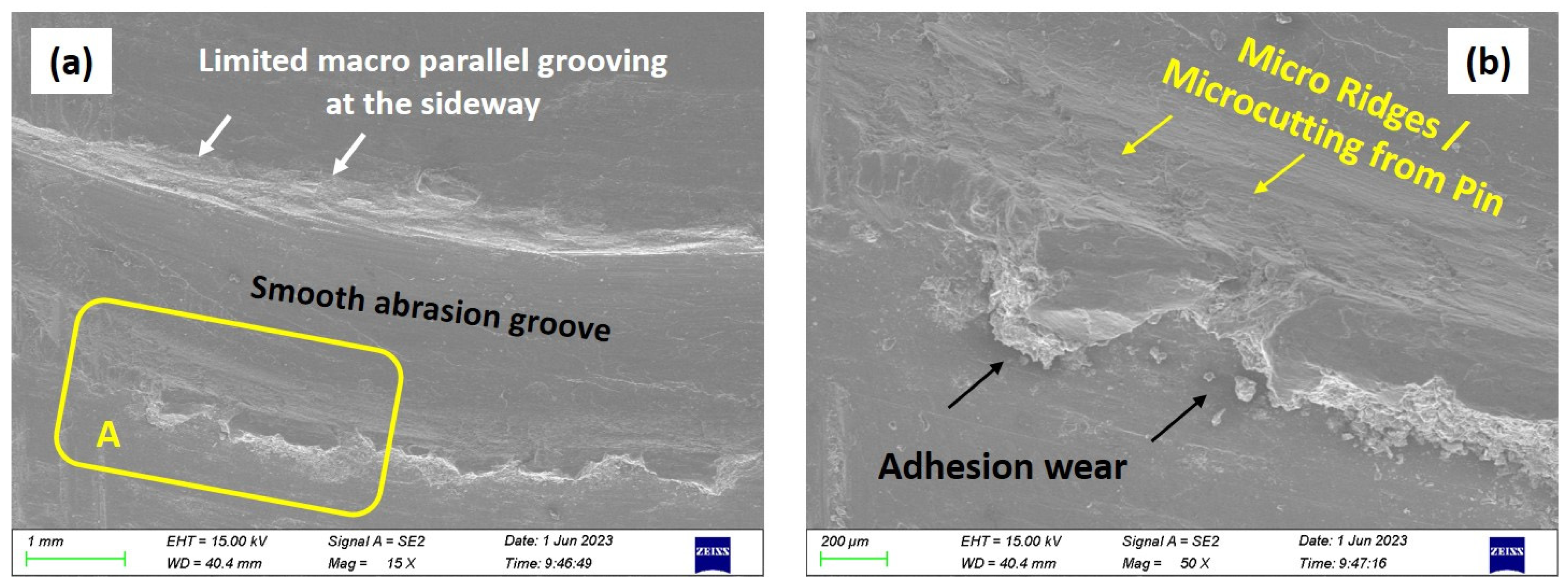 Coatings 14 00429 g013