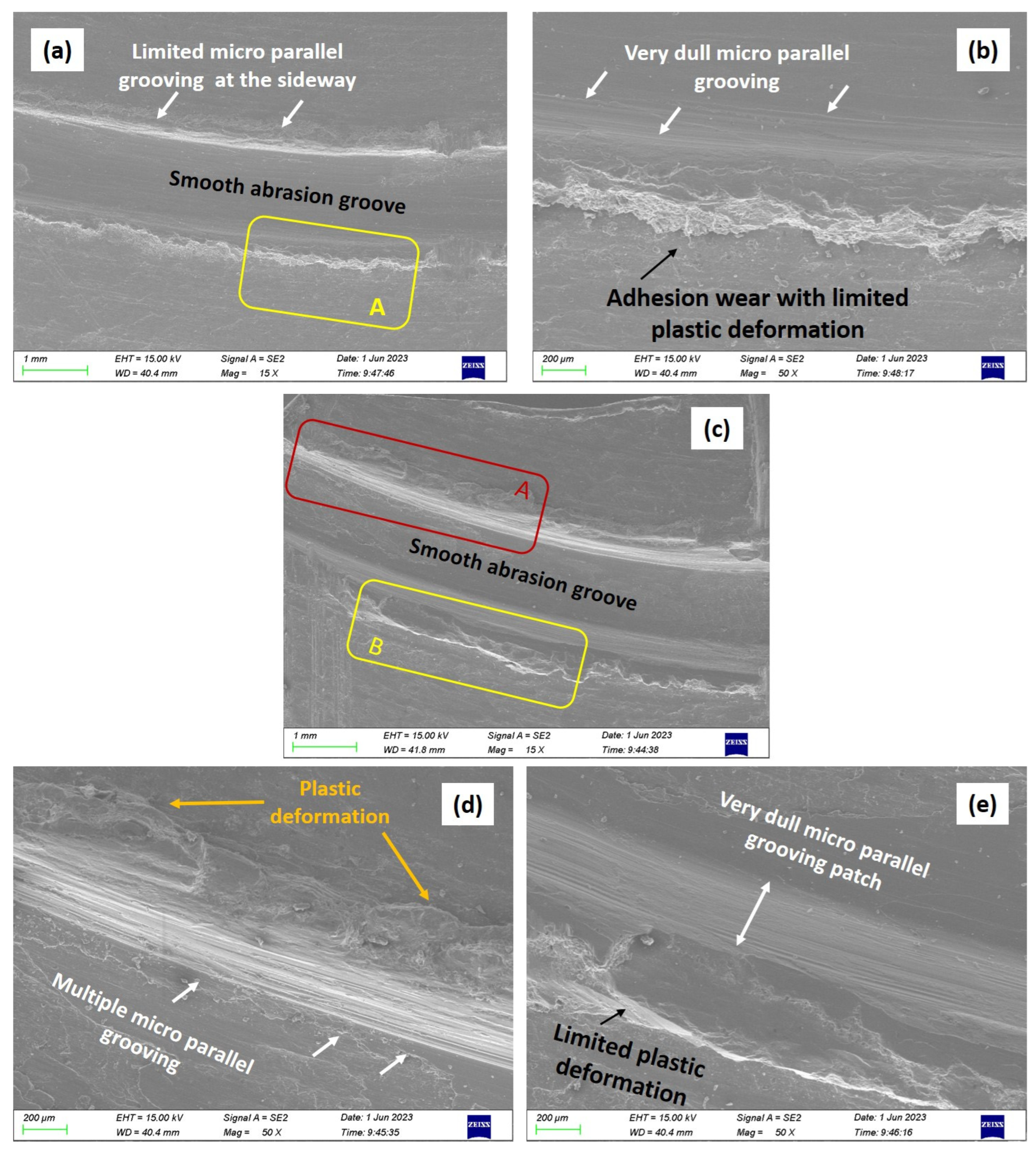 Coatings 14 00429 g014