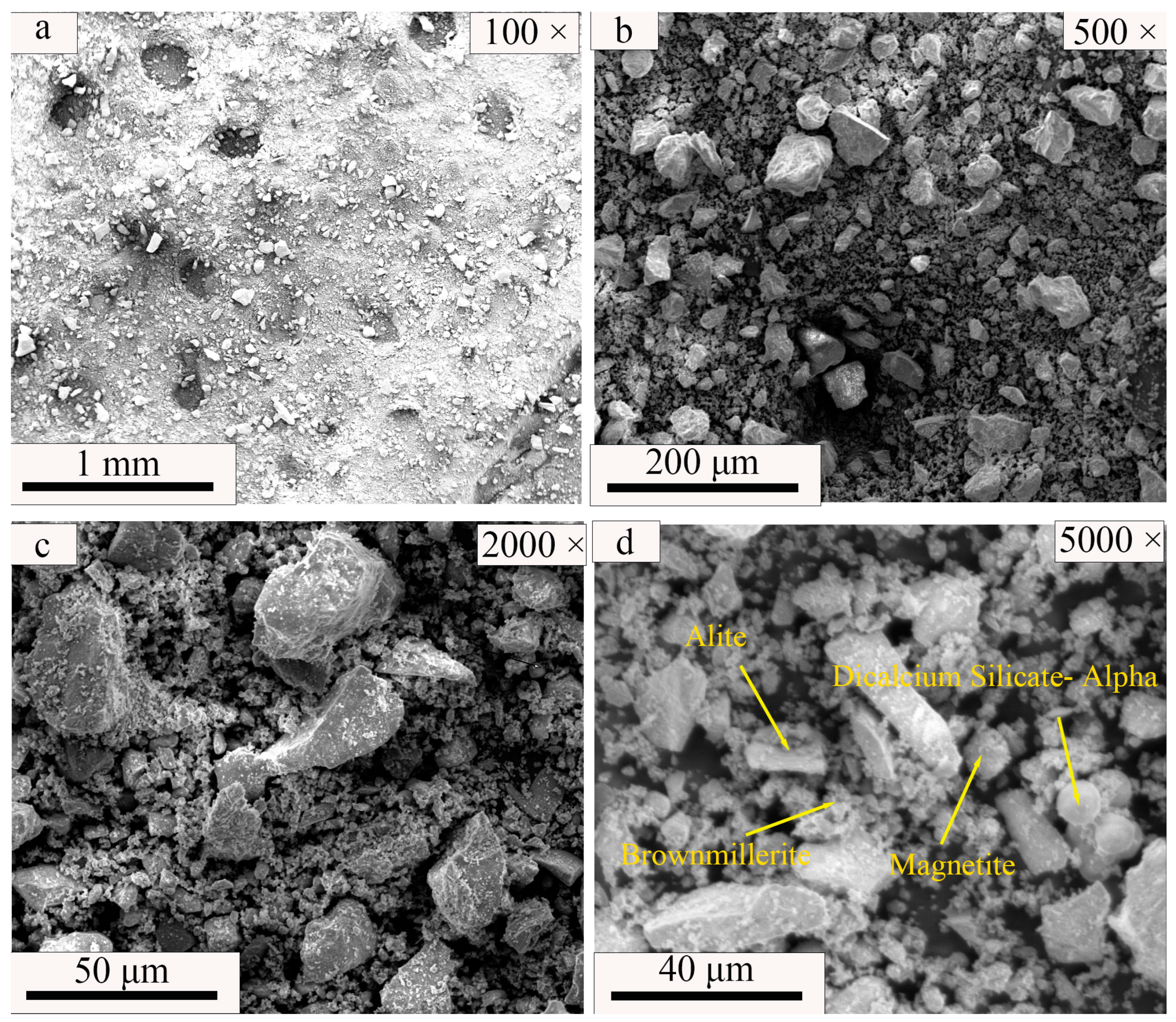 Coatings 14 00434 g007