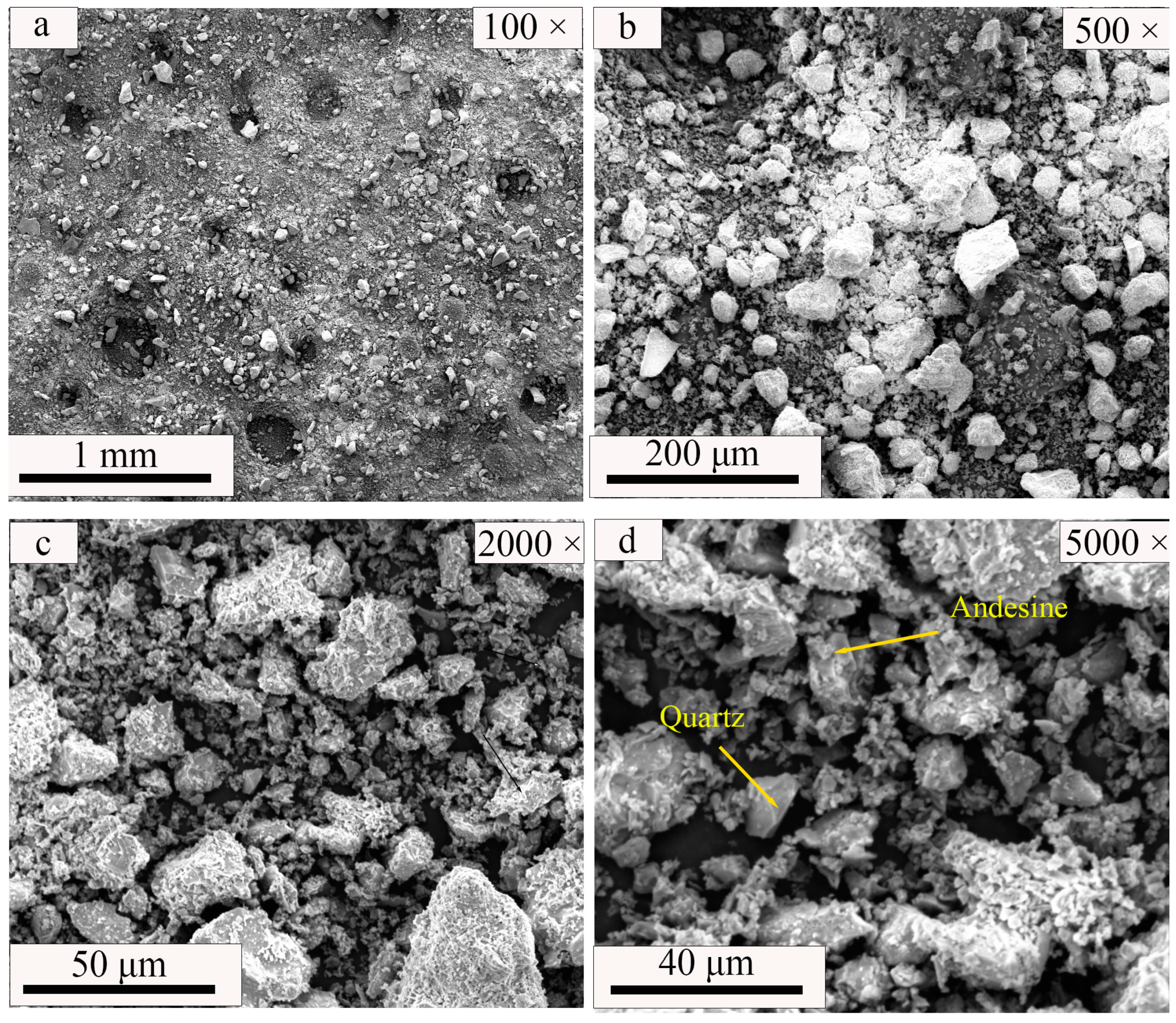 Coatings 14 00434 g008