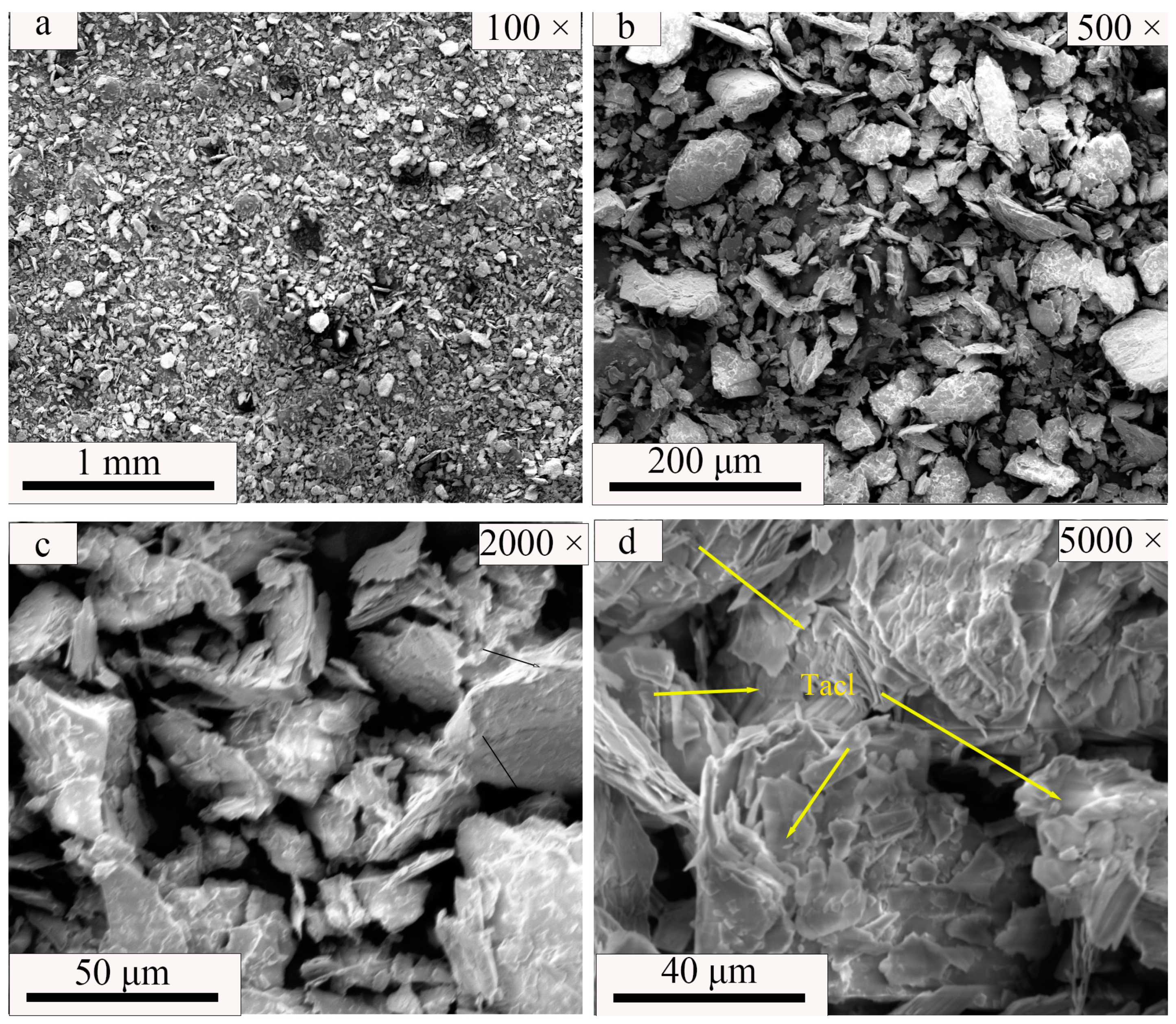 Coatings 14 00434 g009