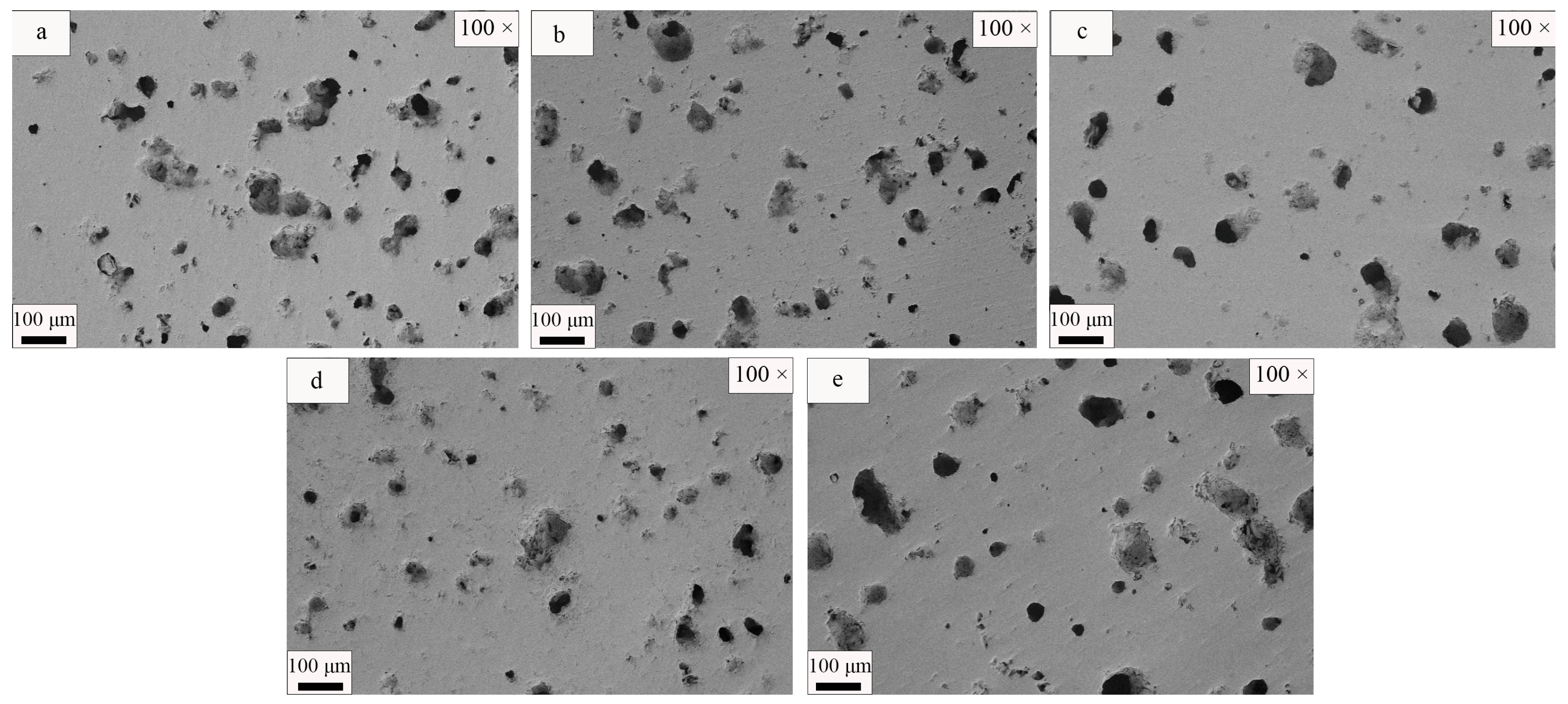 Coatings 14 00434 g017