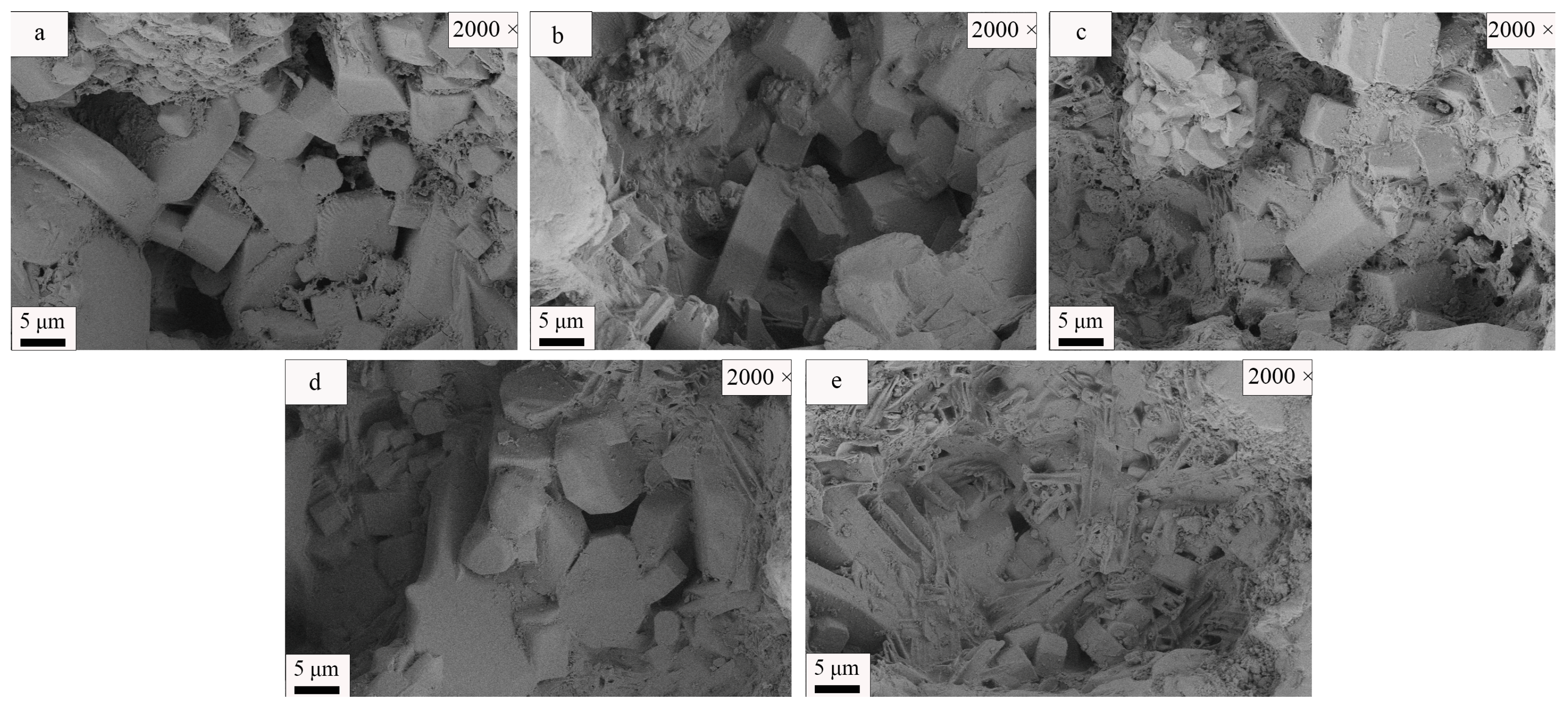 Coatings 14 00434 g018