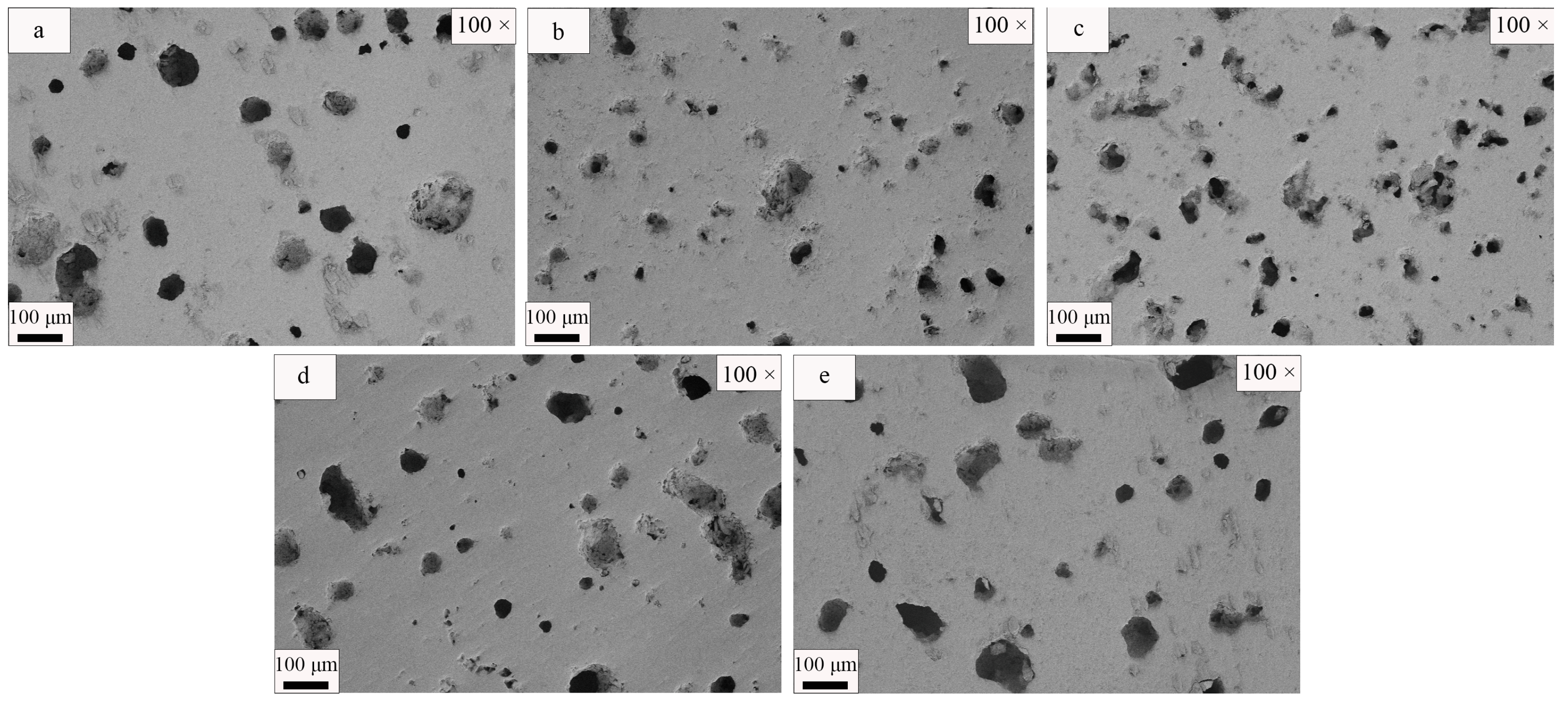 Coatings 14 00434 g019