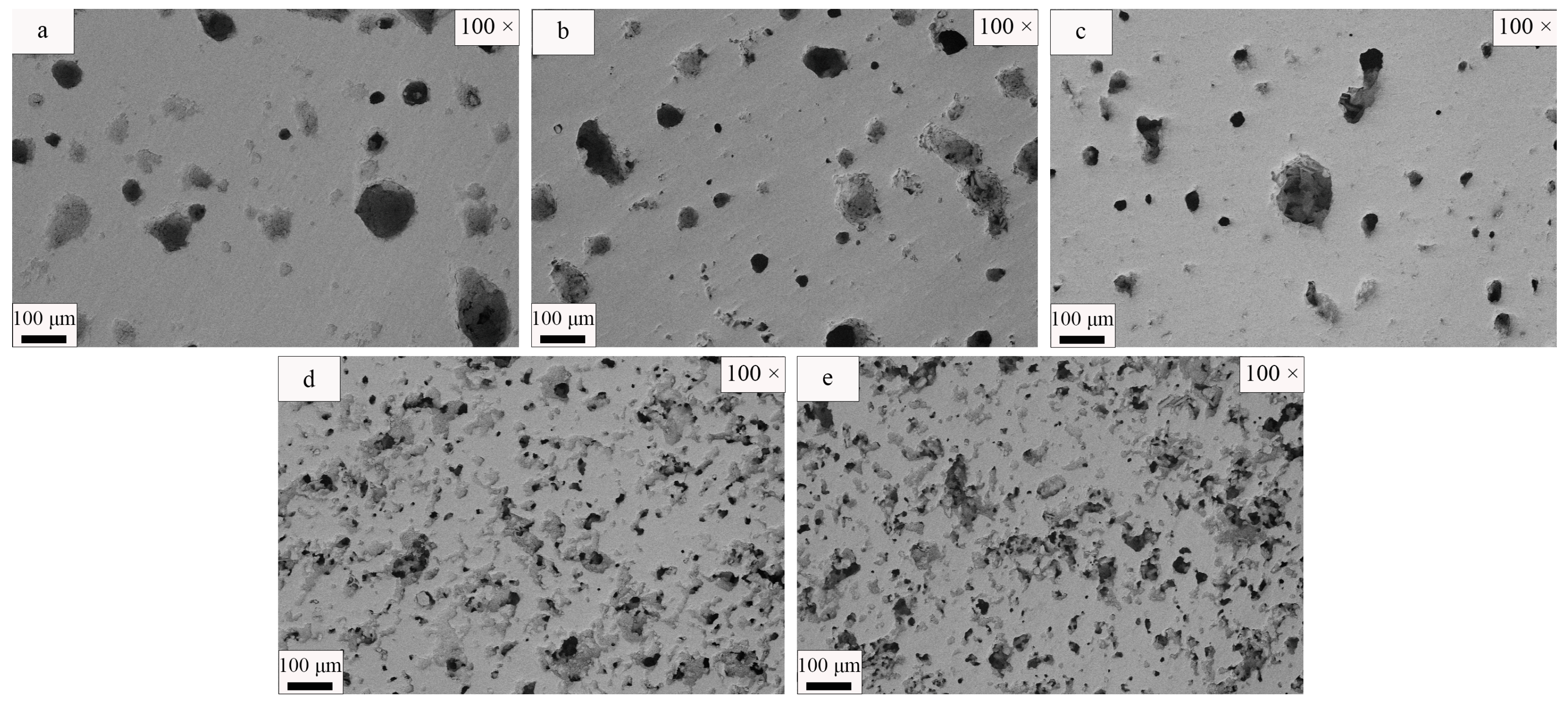 Coatings 14 00434 g021