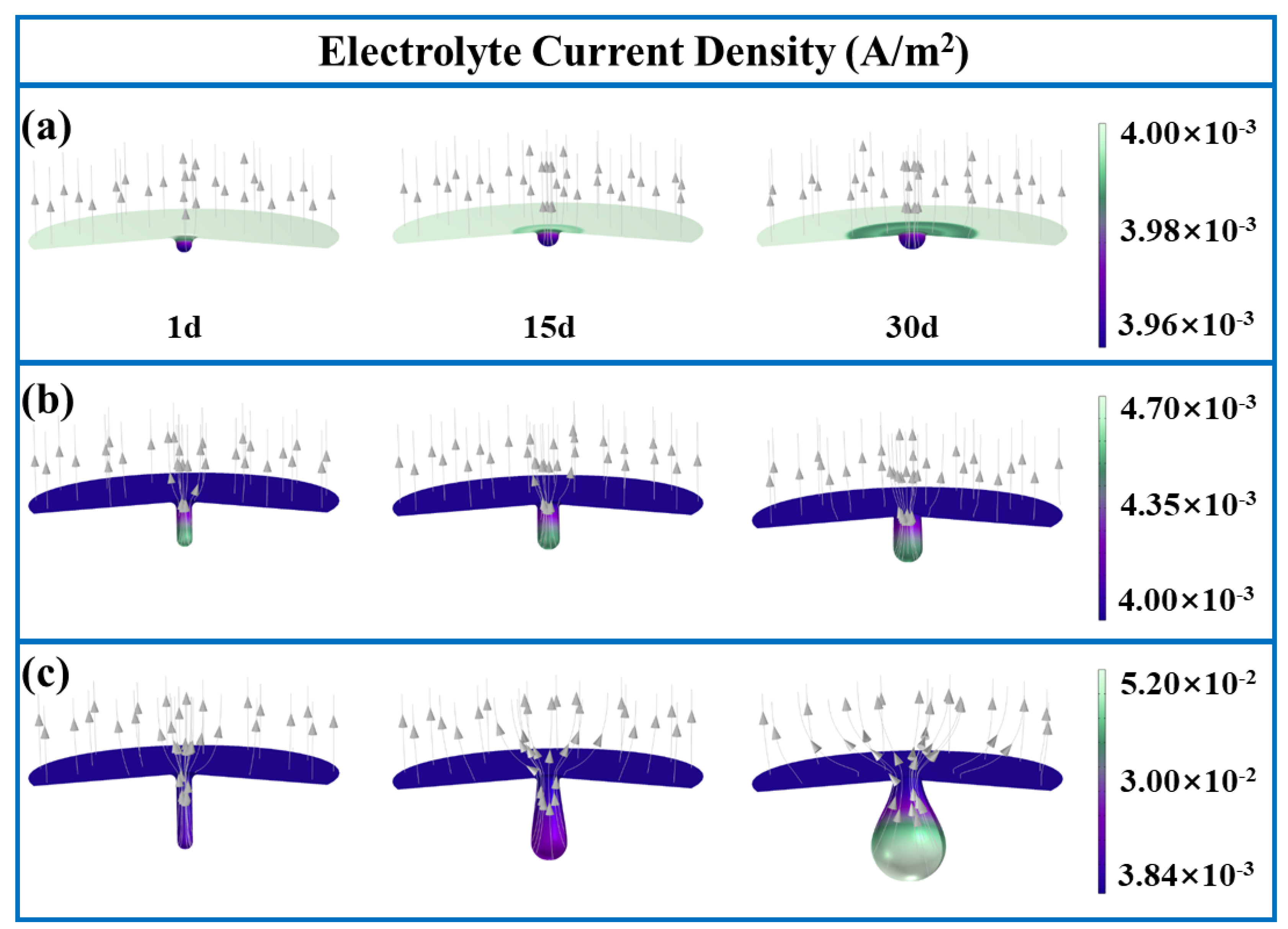 Coatings 14 00435 g002