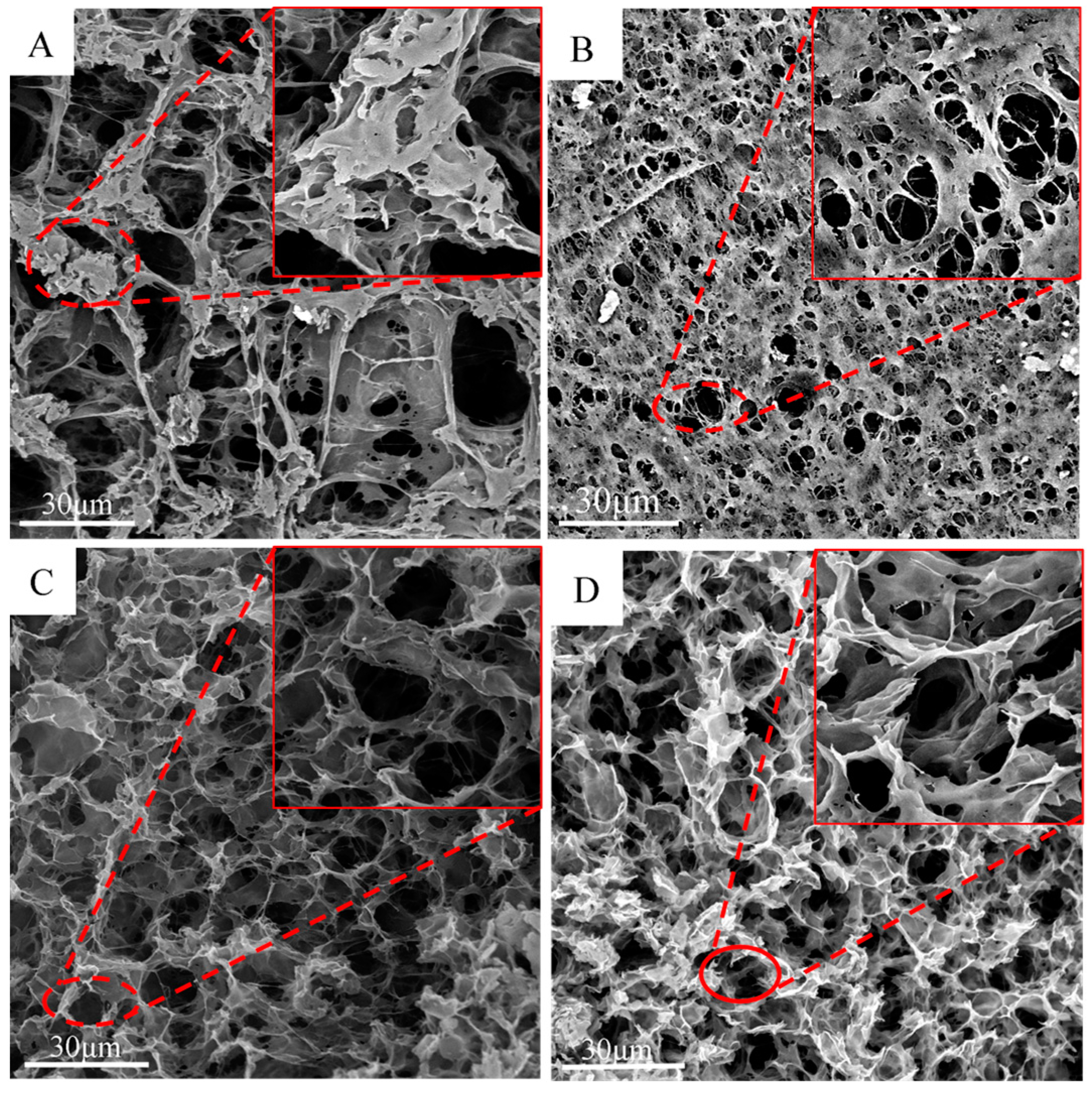 Coatings 14 00441 g004
