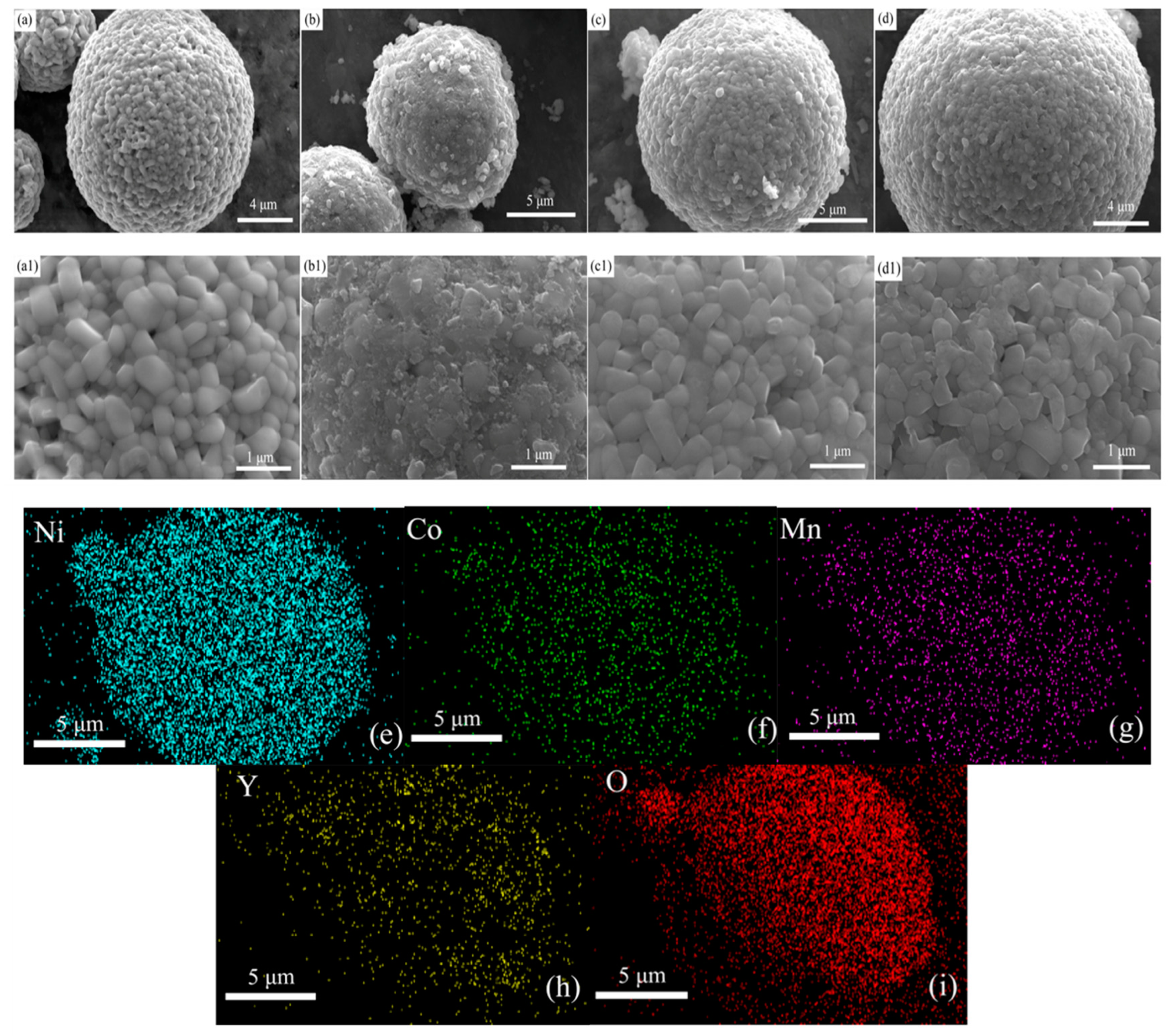 Coatings 14 00443 g002
