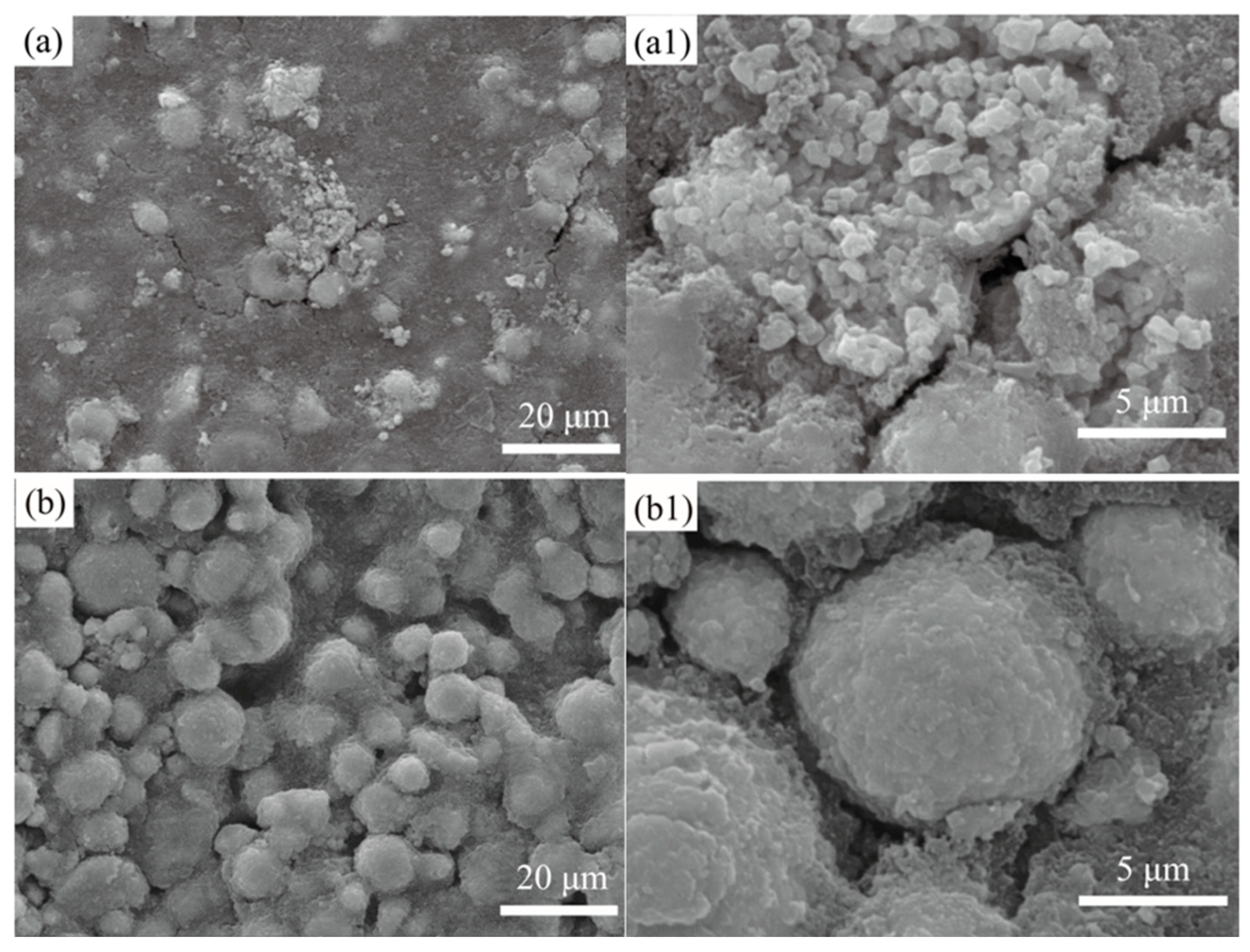 Coatings 14 00443 g006
