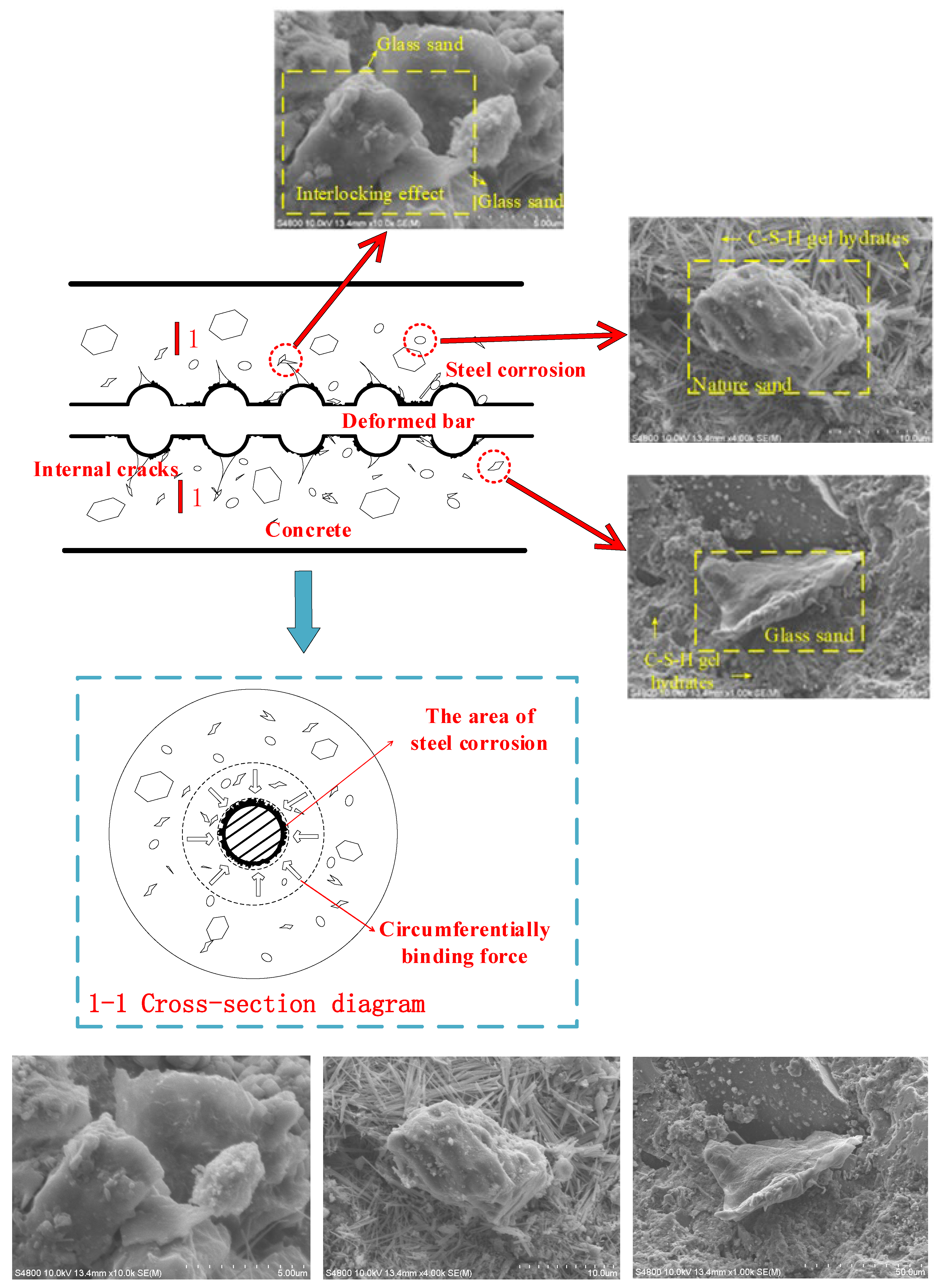 Coatings 14 00444 g012