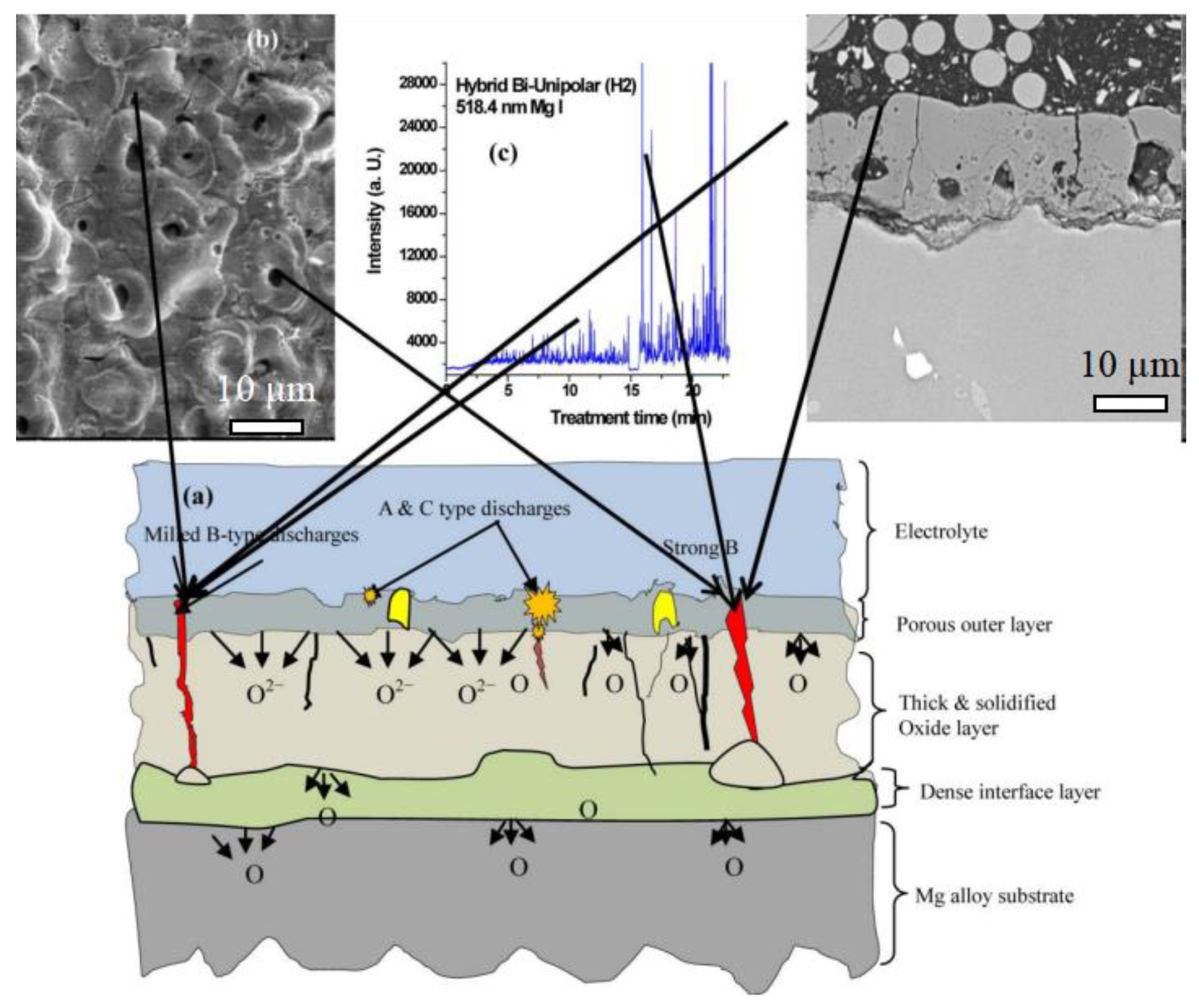 Coatings 14 00451 g008