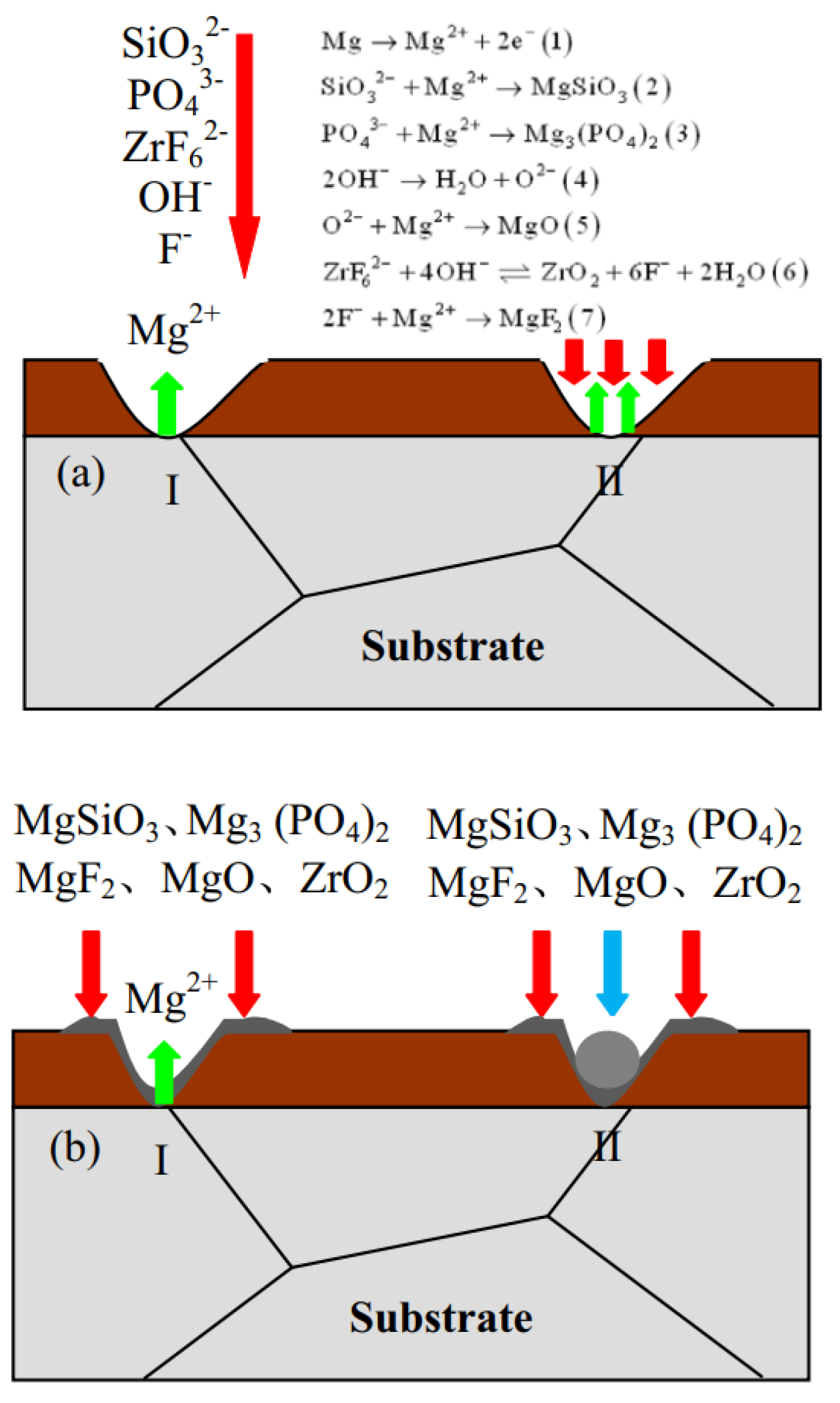 Coatings 14 00451 g014