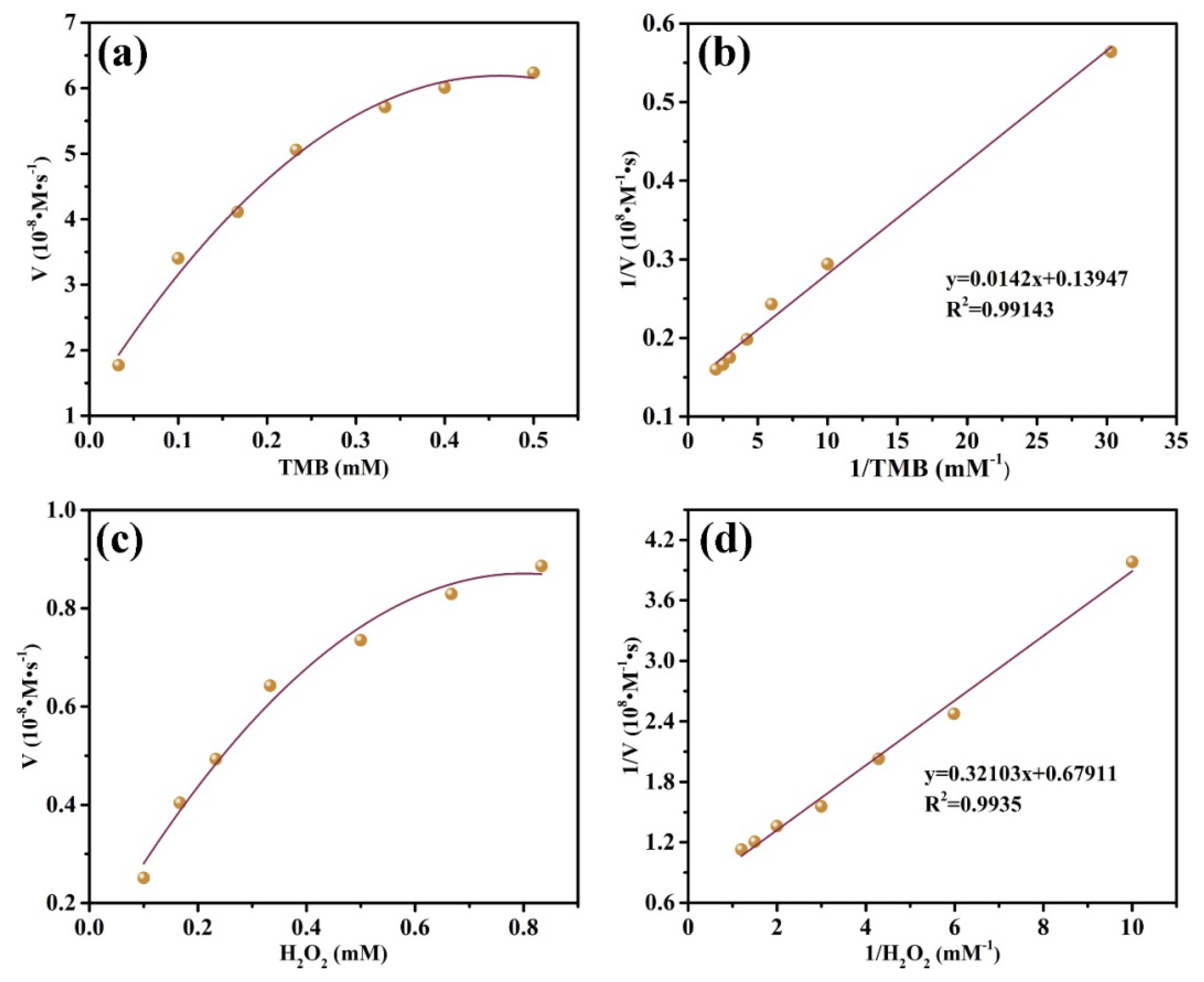 Coatings 14 00453 g005