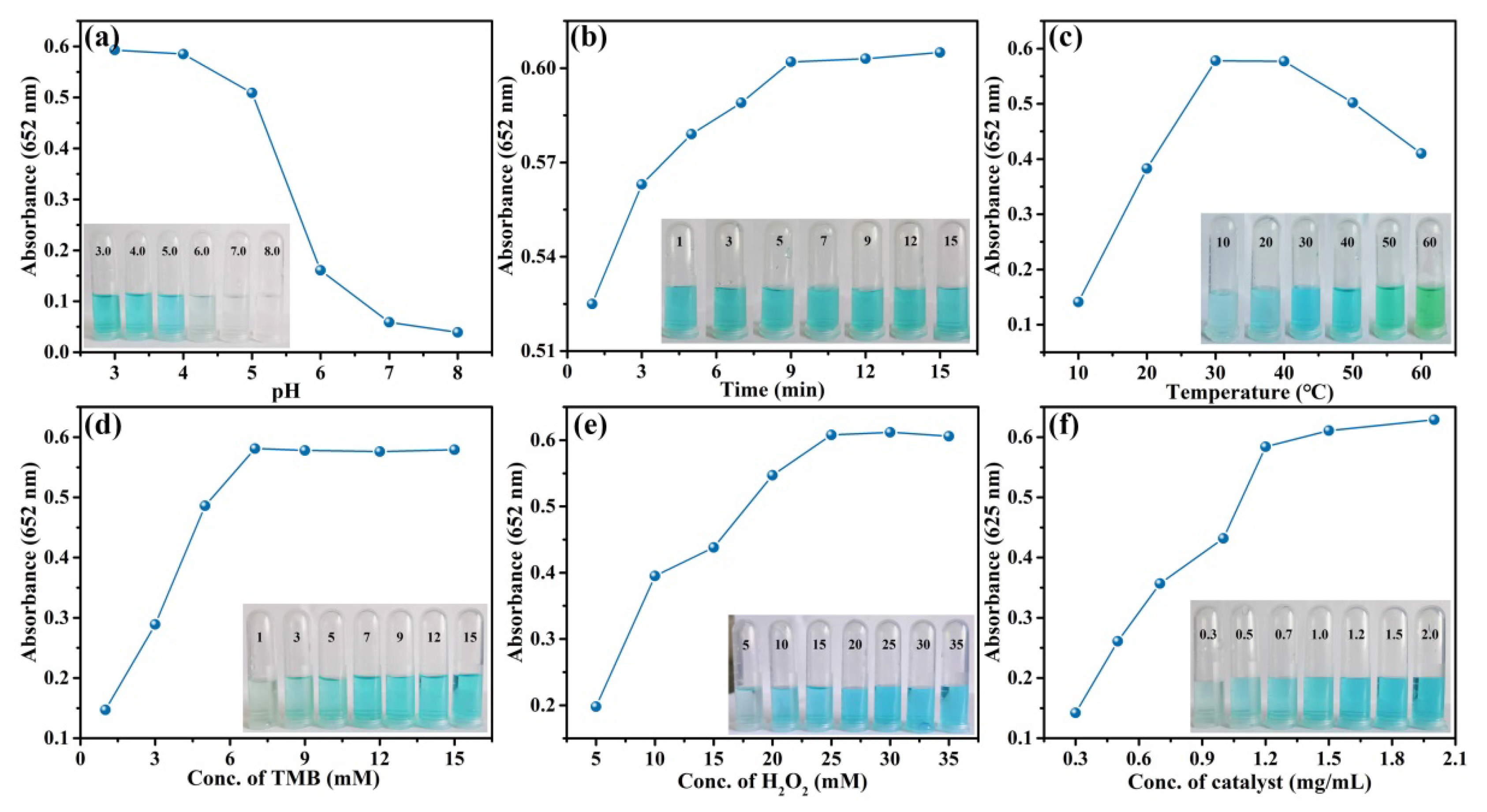 Coatings 14 00453 g006