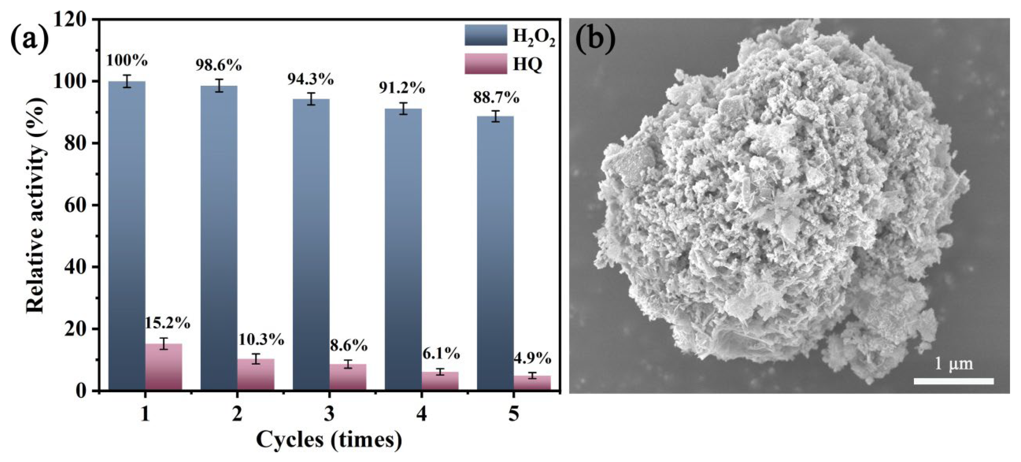Coatings 14 00453 g009