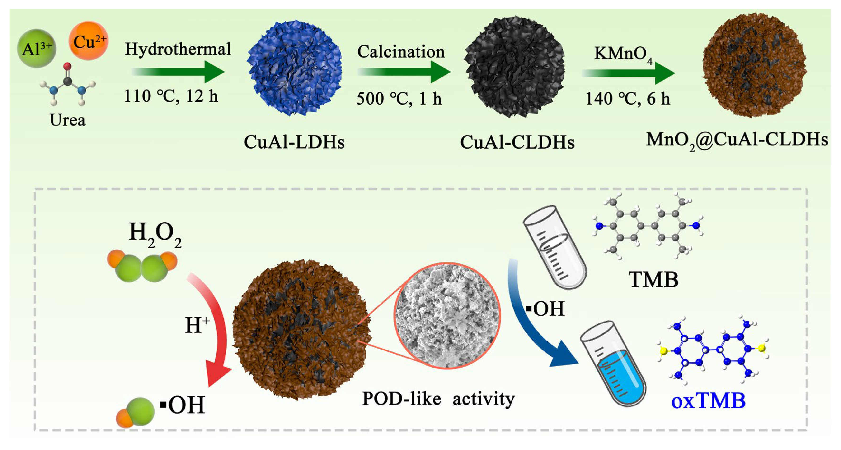 Coatings 14 00453 sch001