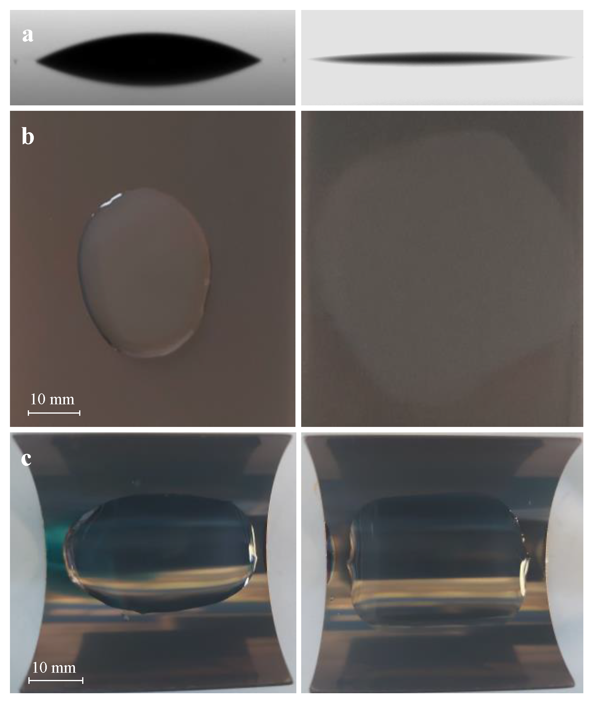 Coatings 14 00454 g007