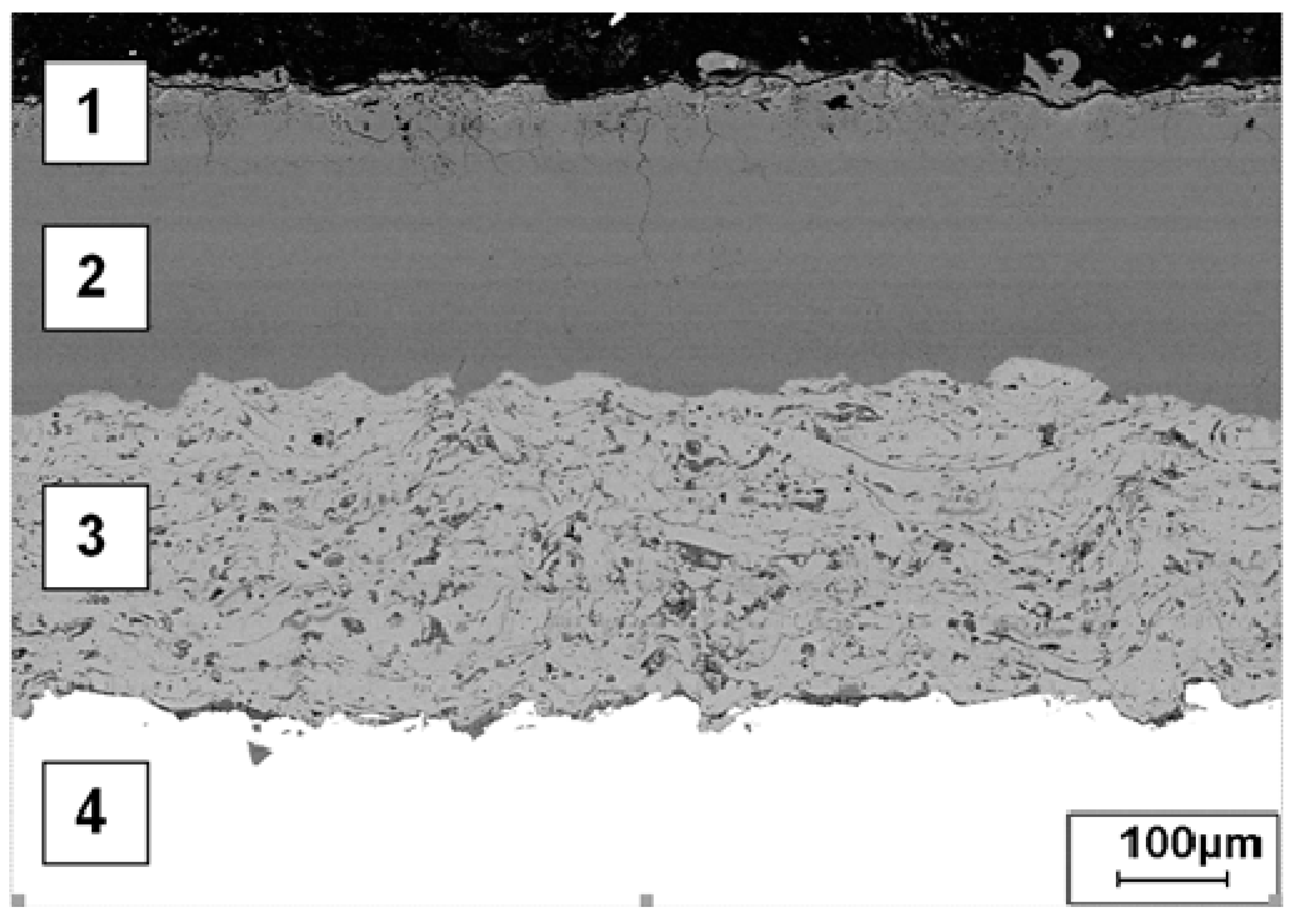 Coatings 14 00460 g003