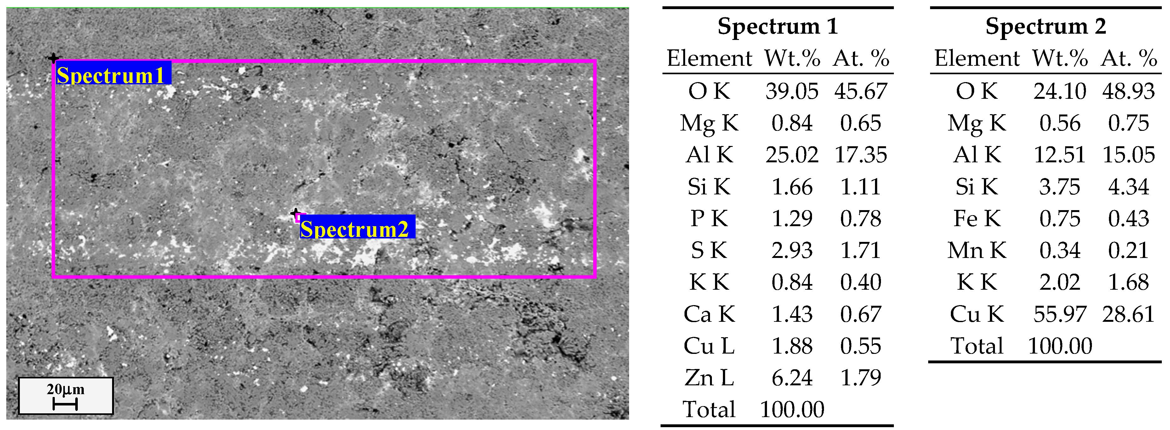 Coatings 14 00460 g013