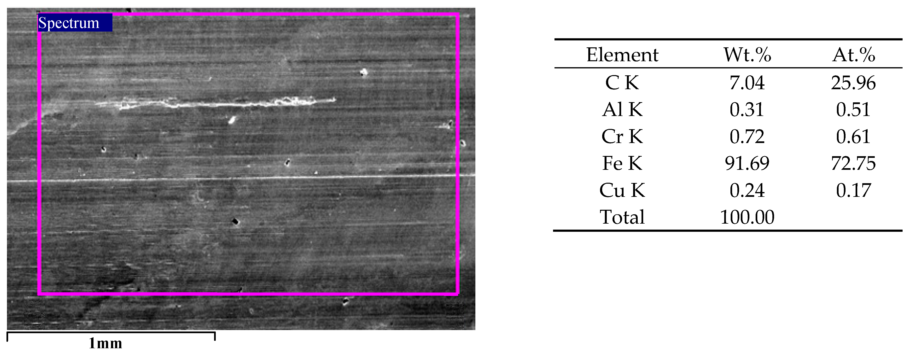 Coatings 14 00460 g017