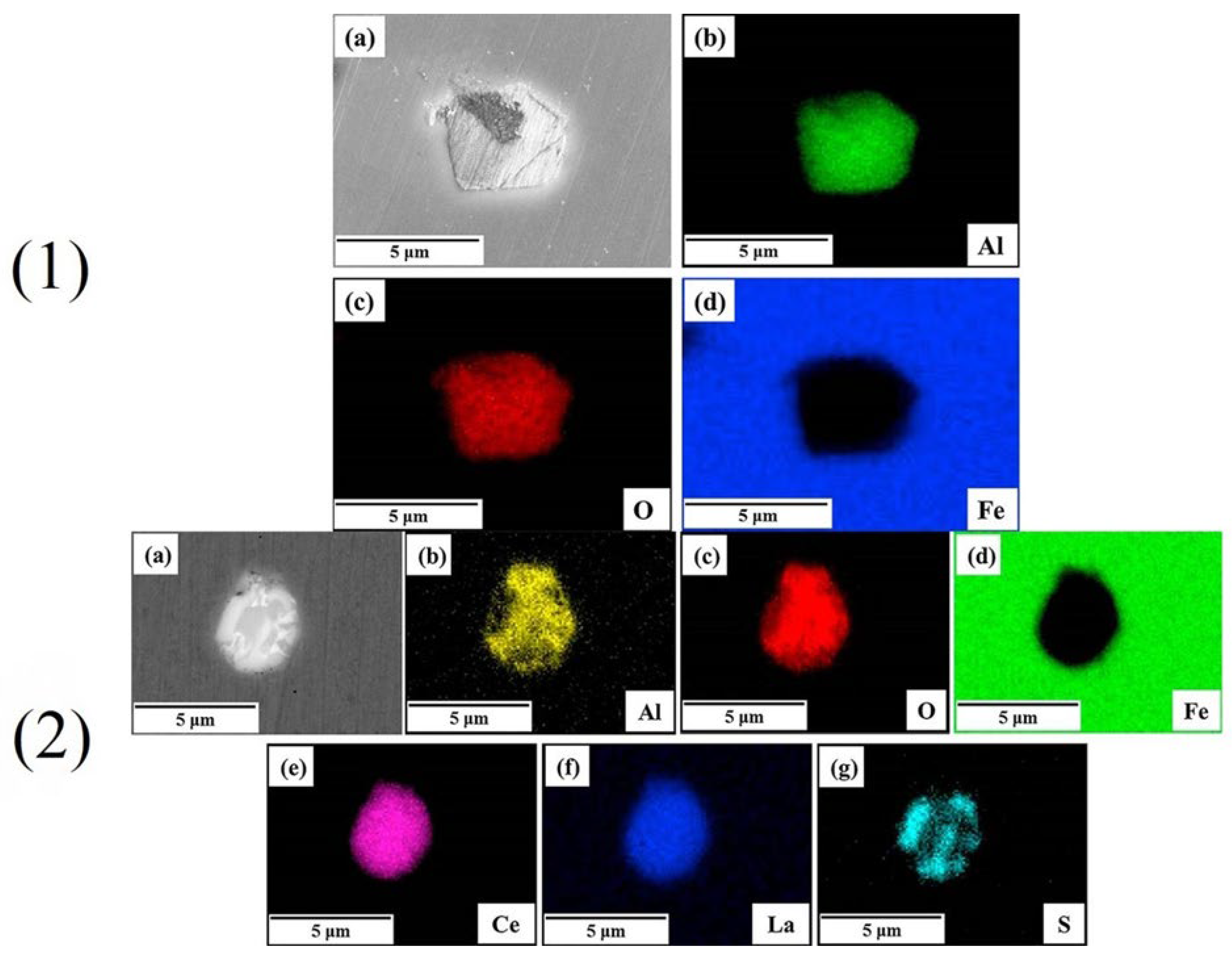 Coatings 14 00465 g005