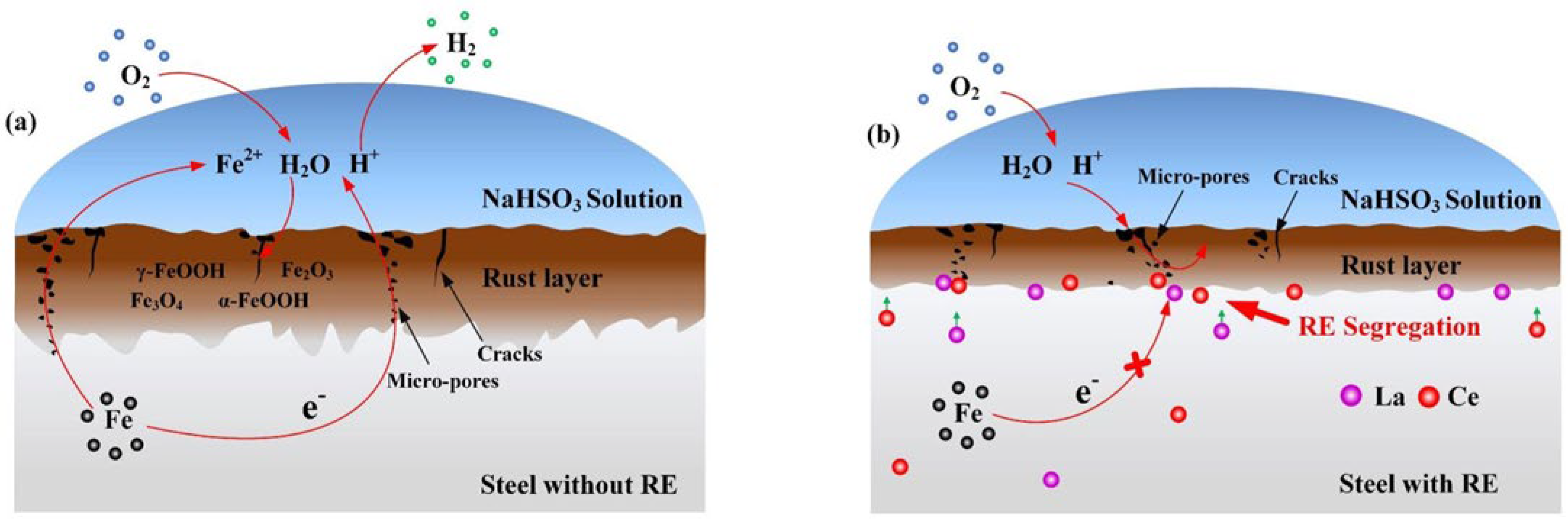 Coatings 14 00465 g010