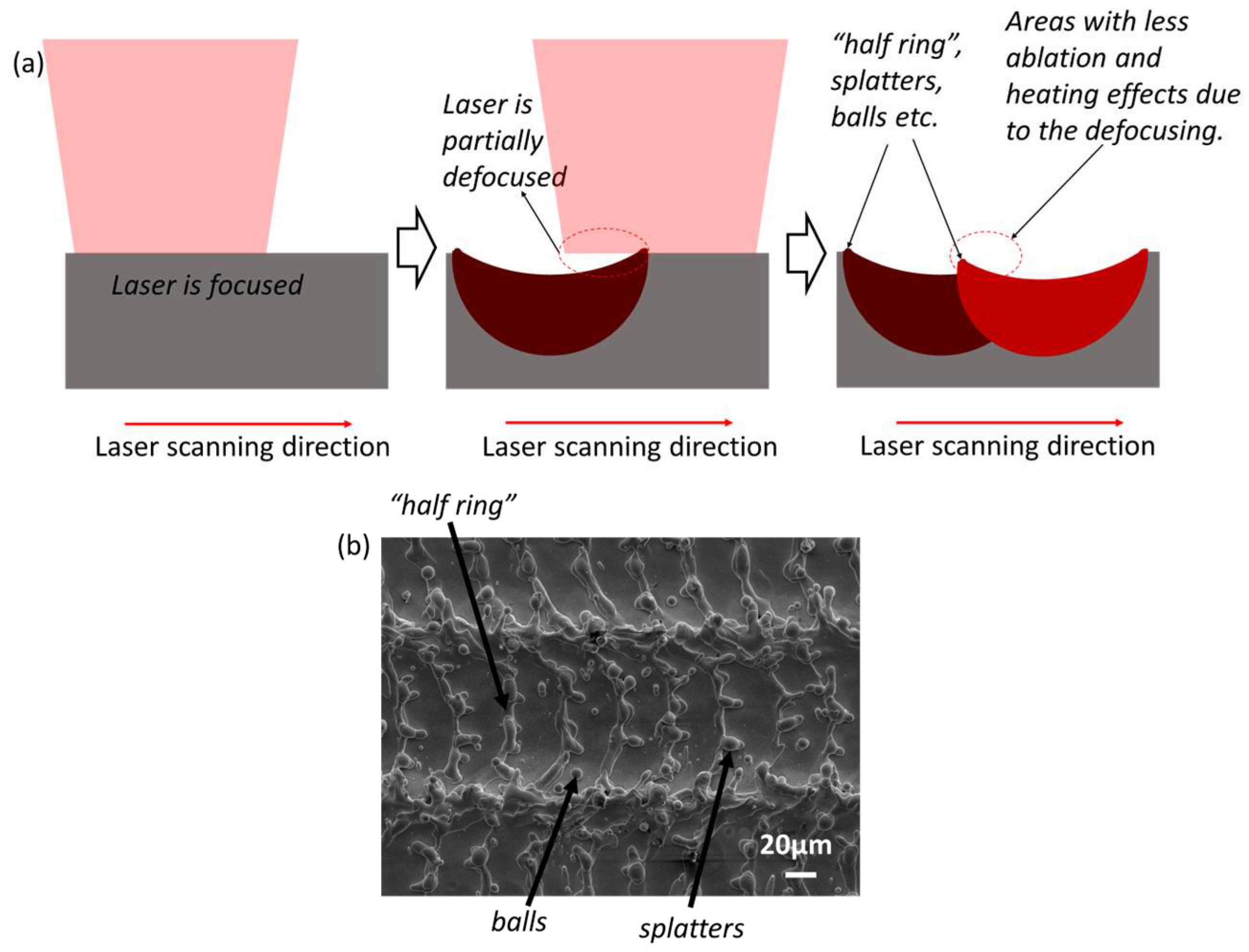 Coatings 14 00467 g014