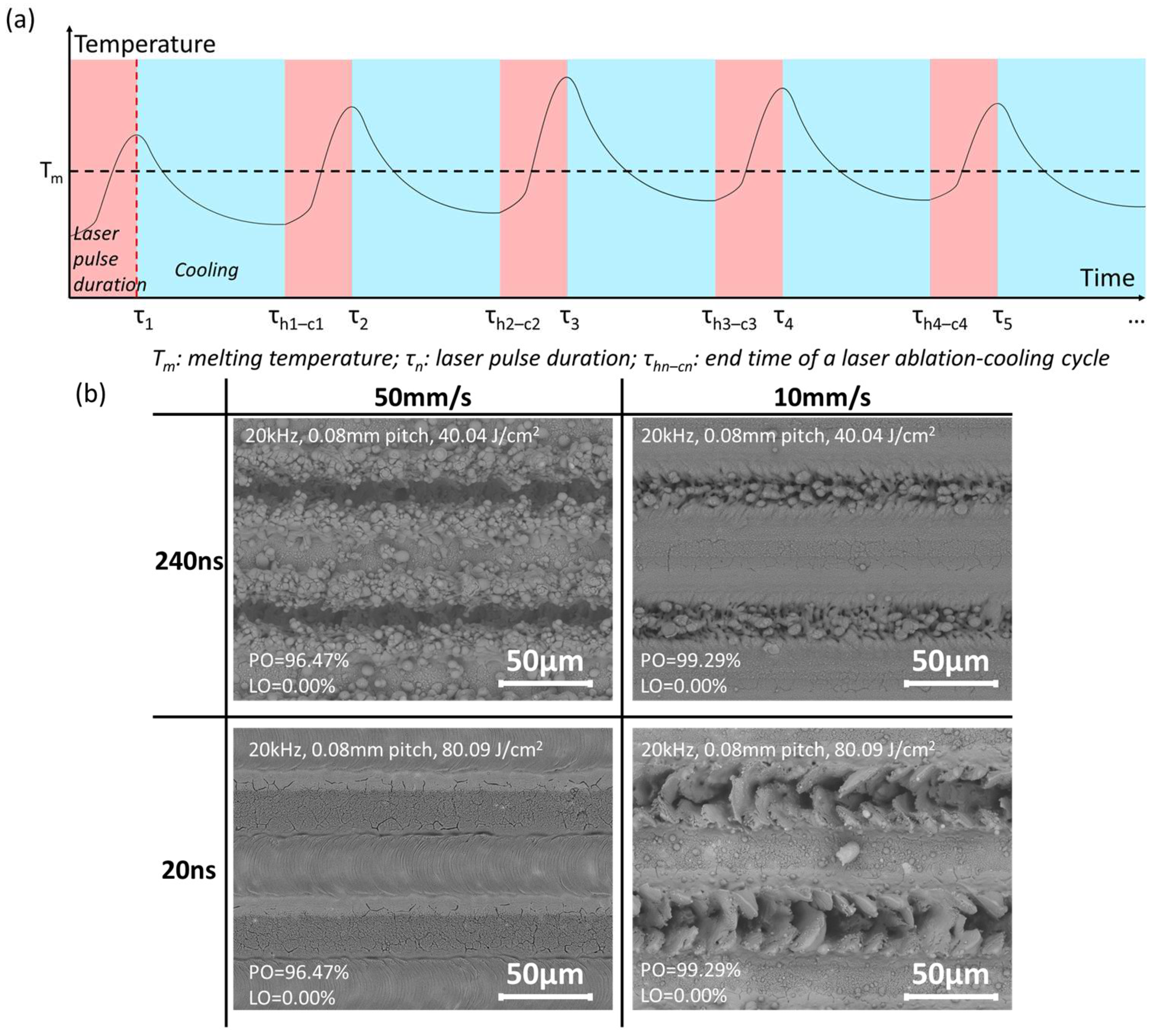 Coatings 14 00467 g021